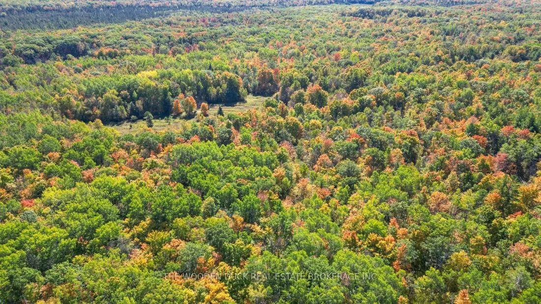 0East2 Road allowance Road