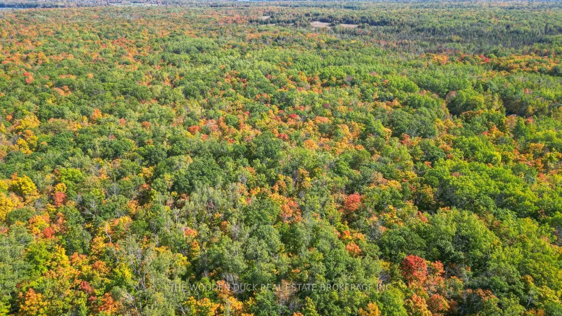 0East2 Road allowance Road