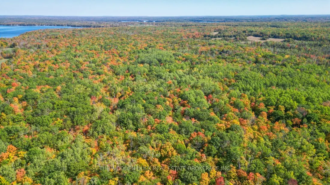 0East2 Road allowance Road