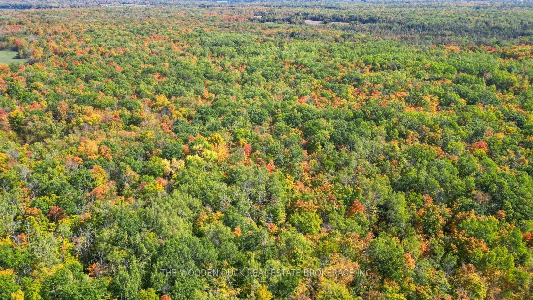 0East2 Road allowance Road