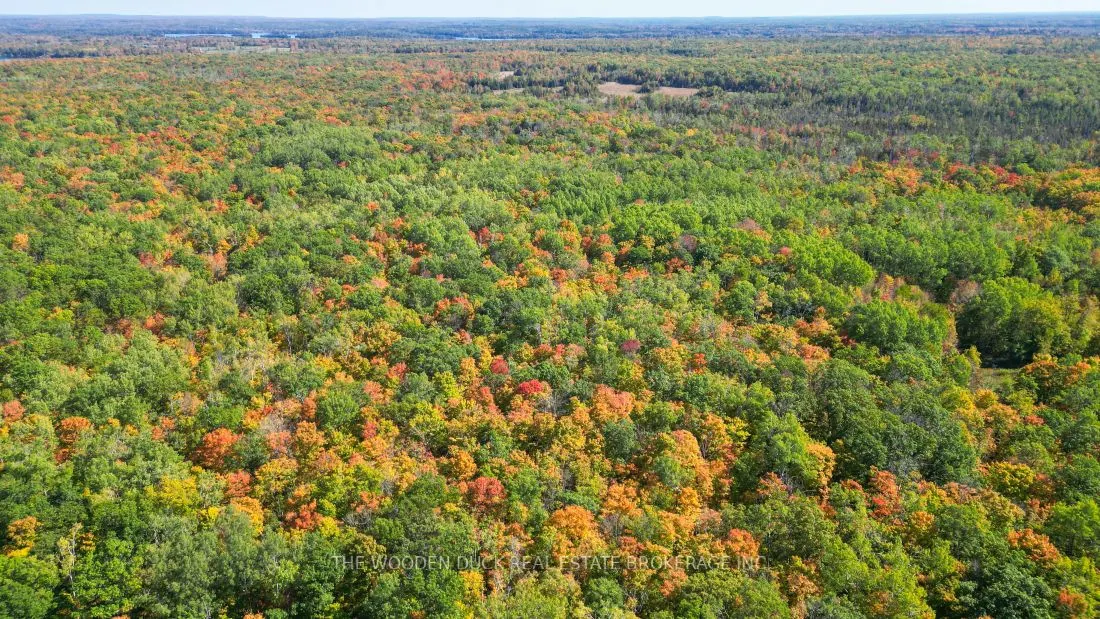 0East2 Road allowance Road