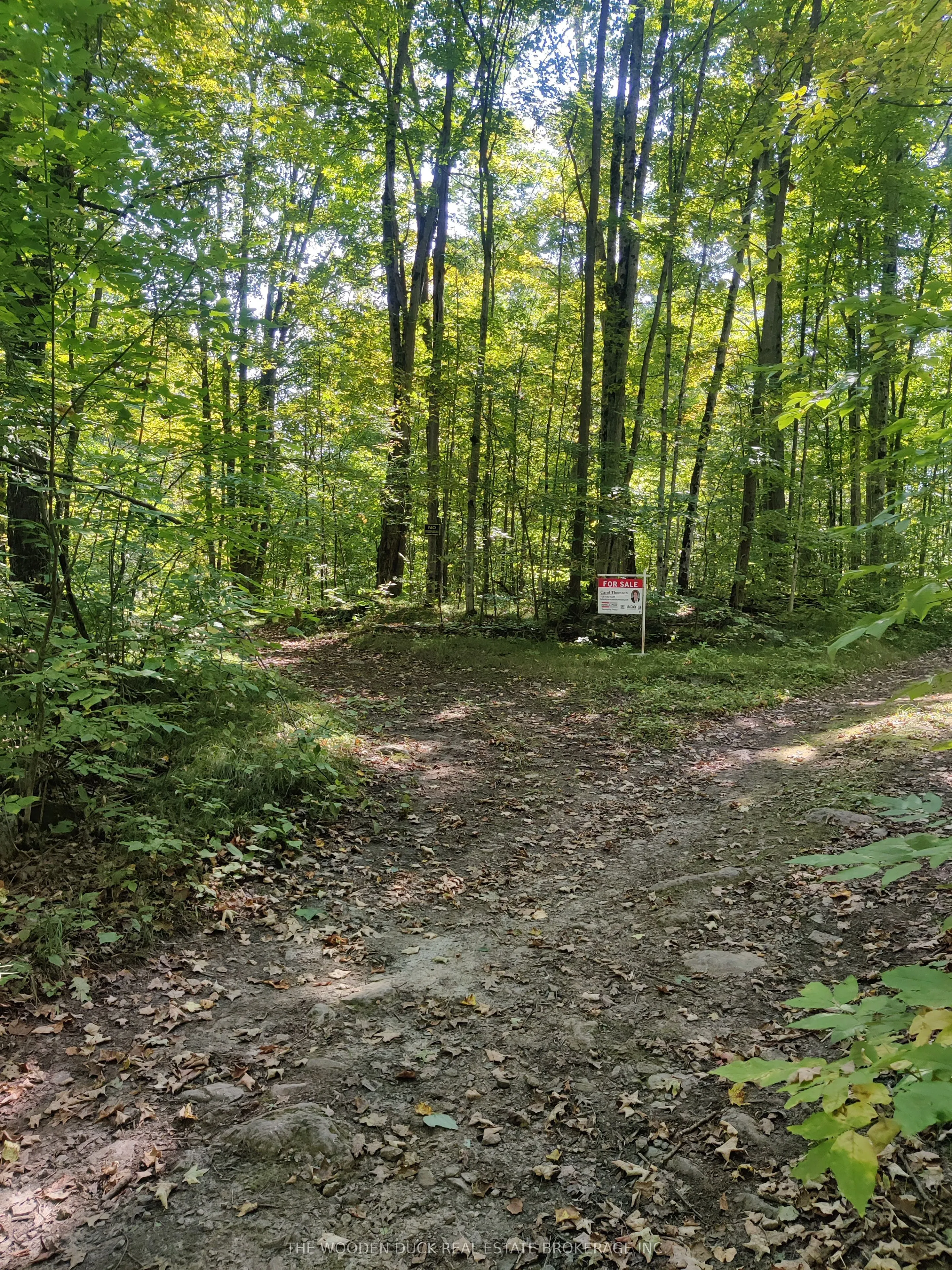 0East2 Road allowance Road