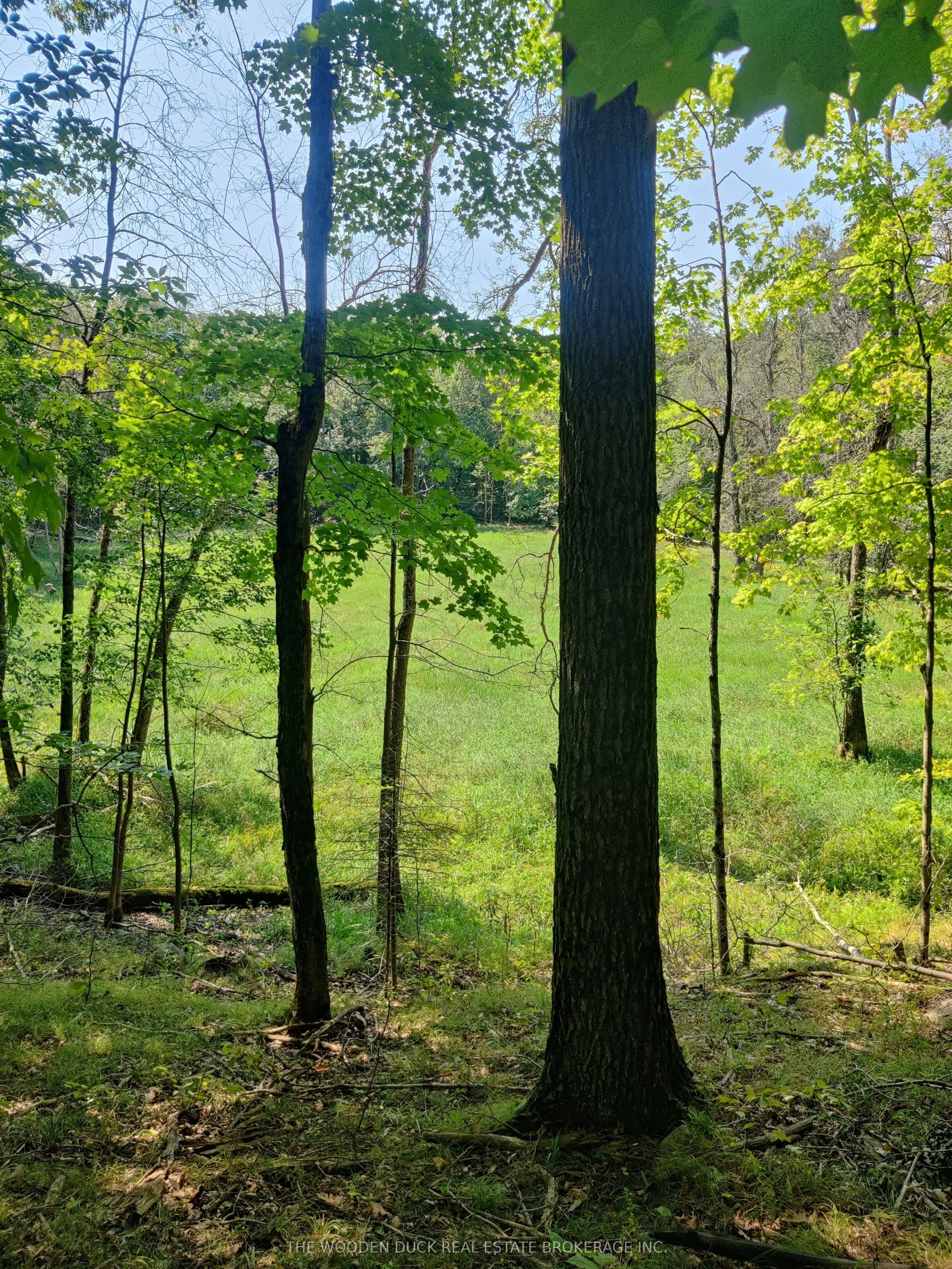 0East2 Road allowance Road