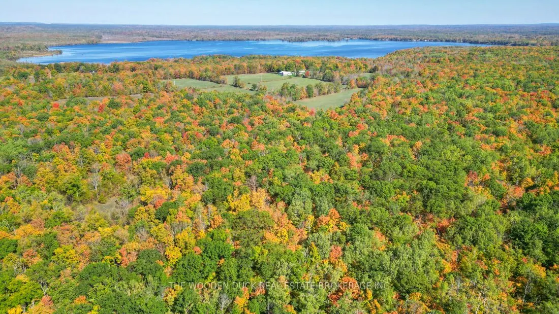 0East2 Road allowance Road