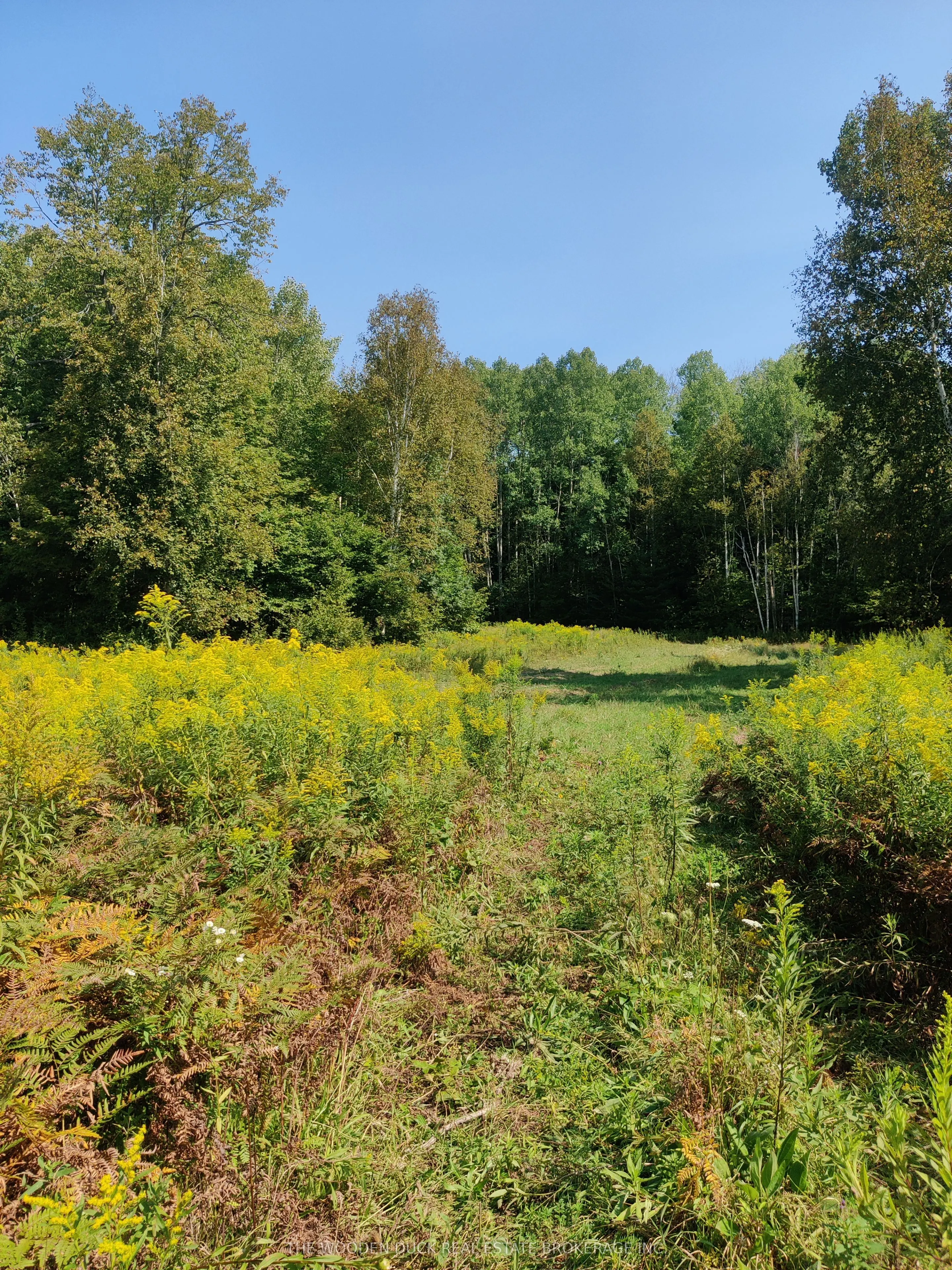 0East2 Road allowance Road