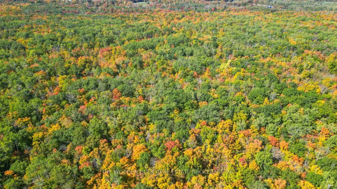 0East2 Road allowance Road