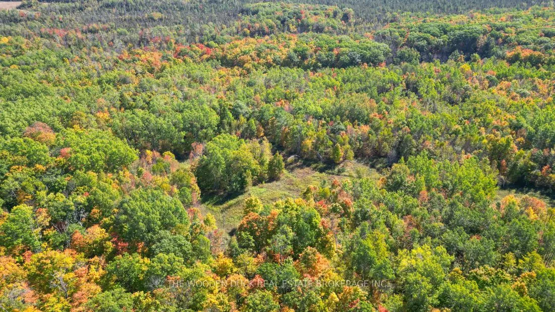 0East2 Road allowance Road