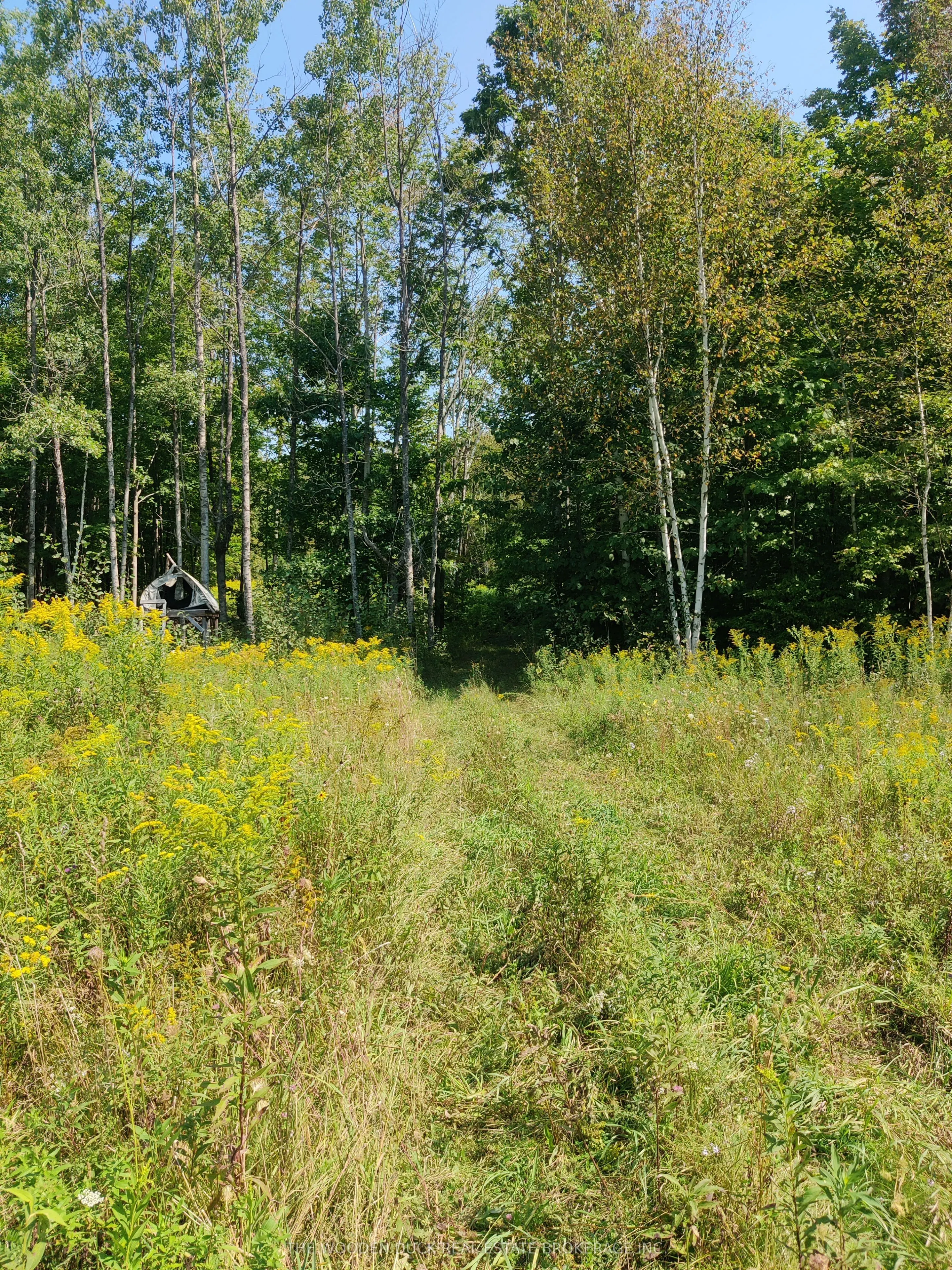 0East2 Road allowance Road