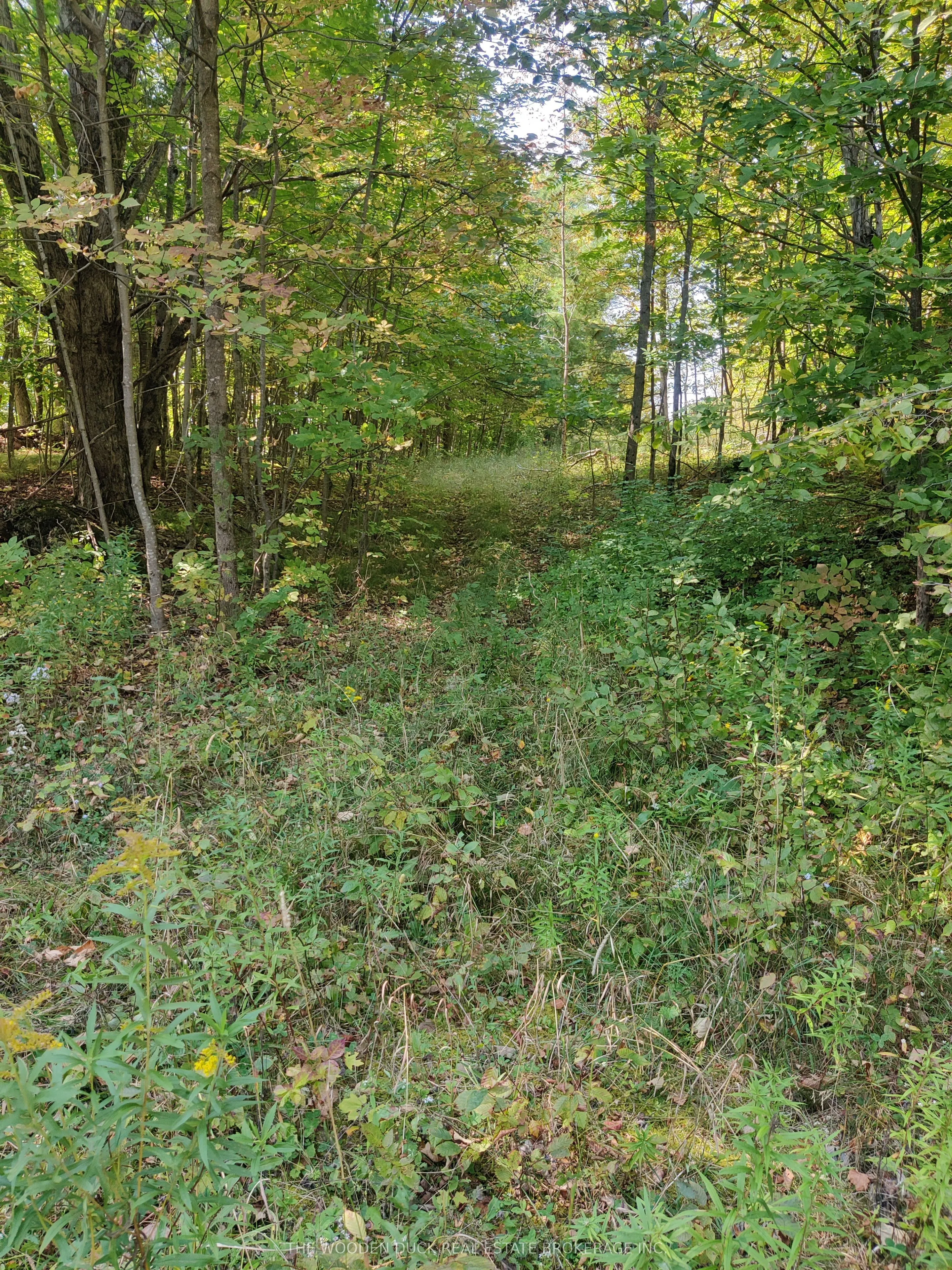 0West Road Allowance Road