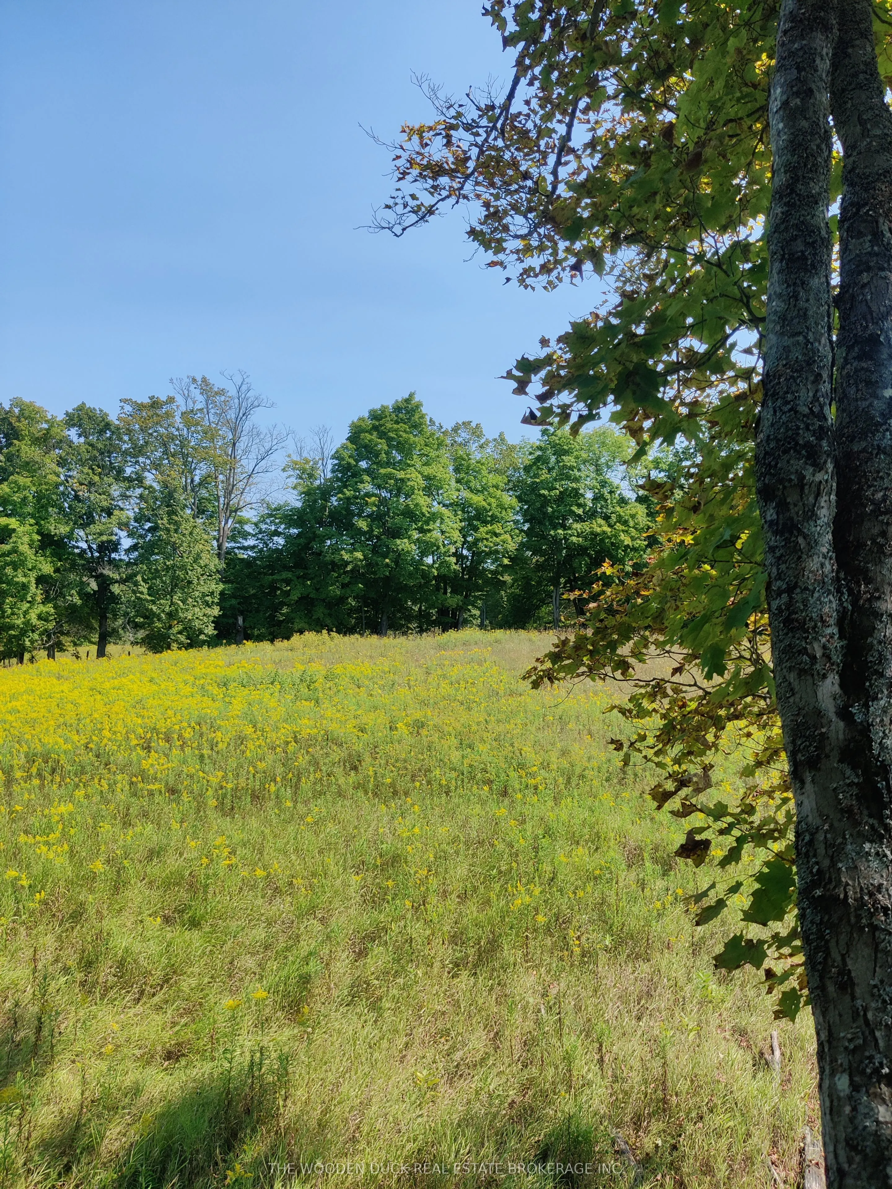 0West Road Allowance Road