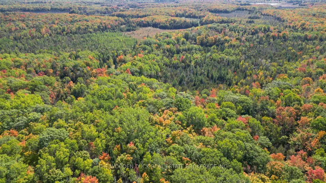 0West Road Allowance Road