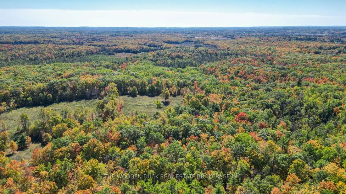 0West Road Allowance Road