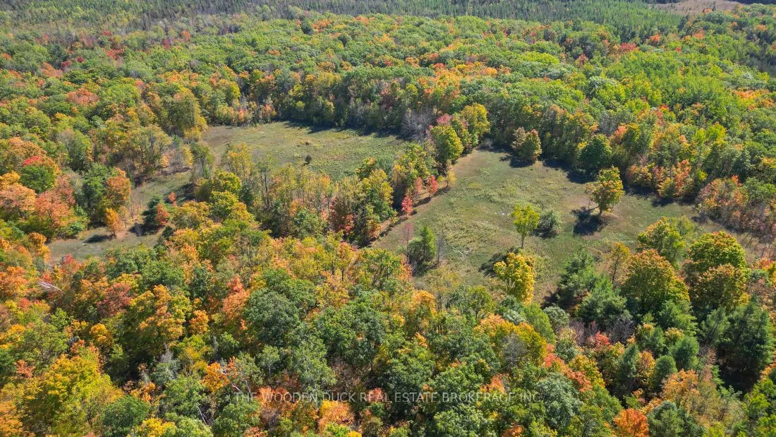 0West Road Allowance Road