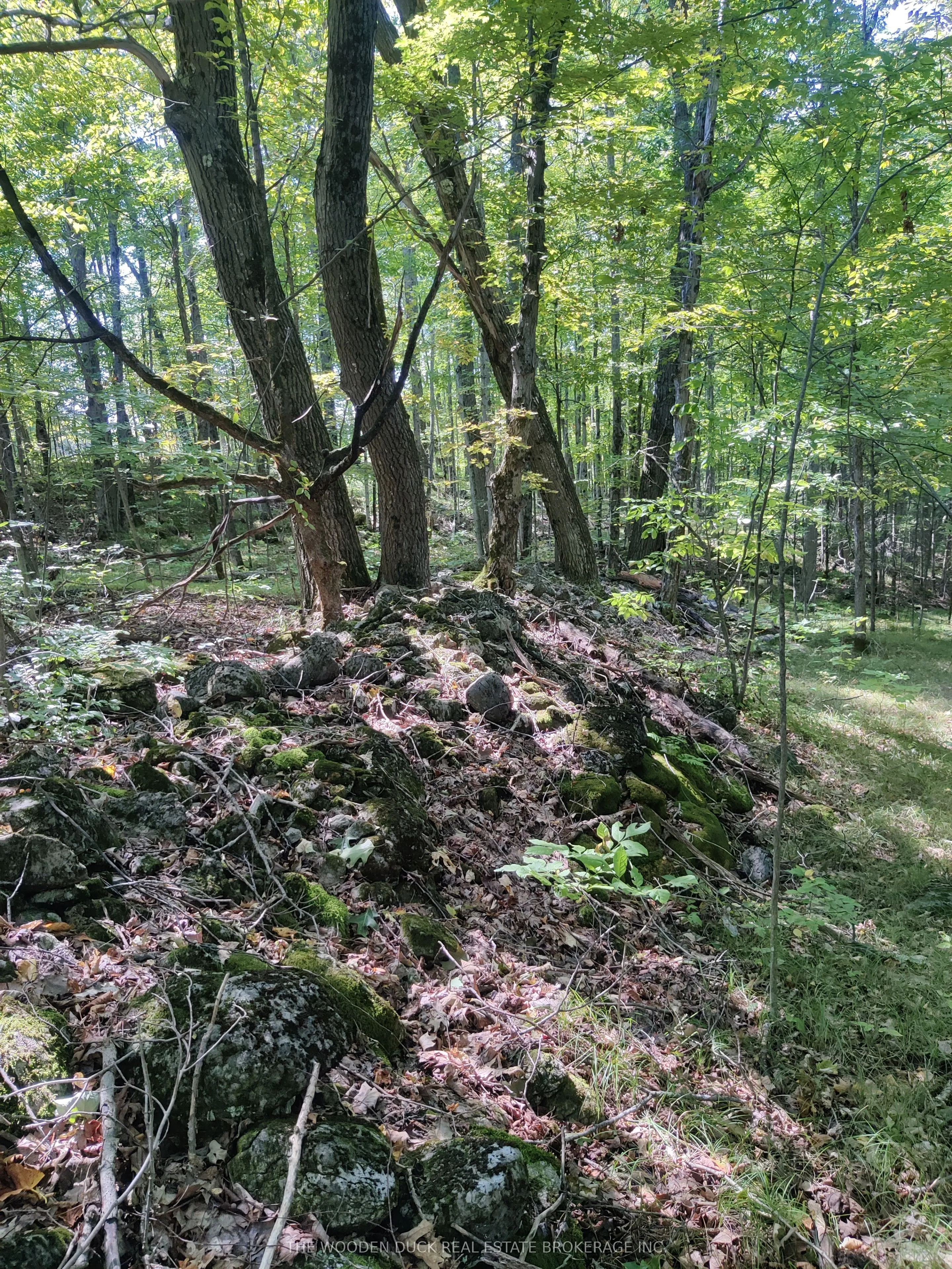 0West Road Allowance Road