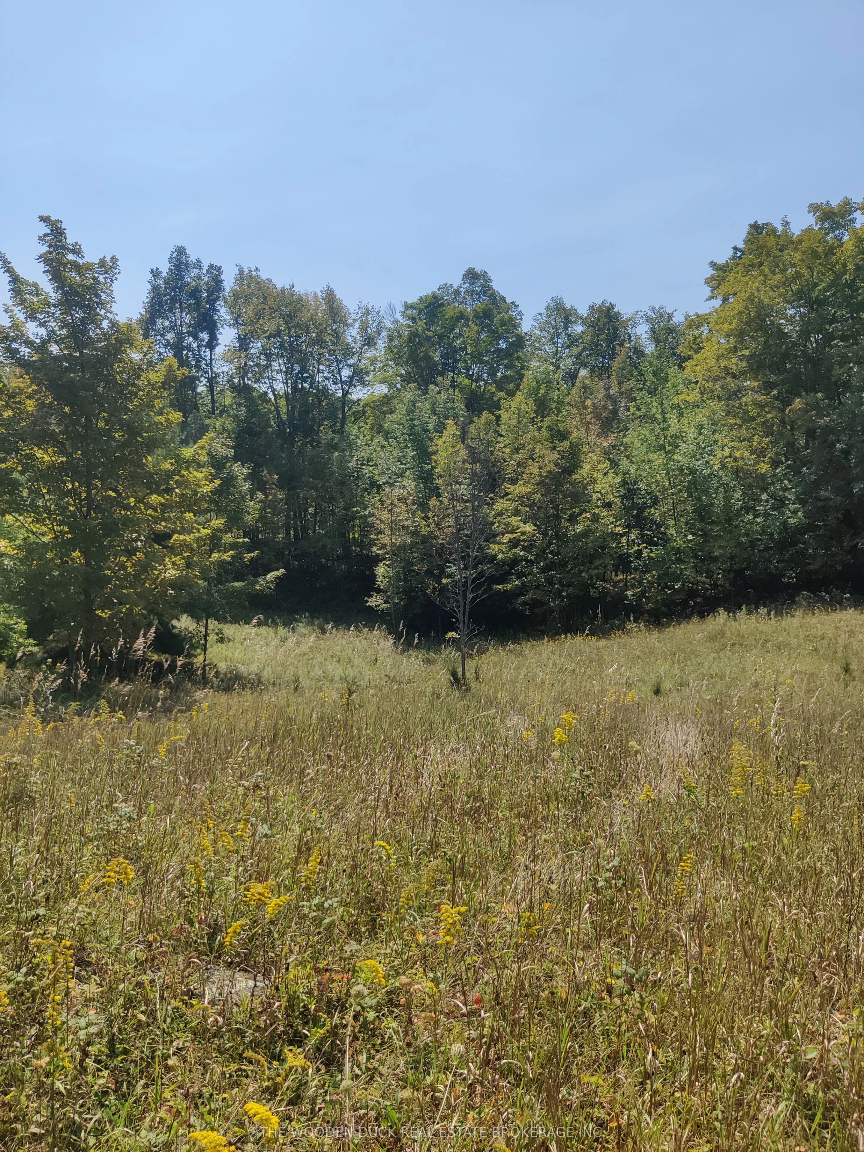 0West Road Allowance Road