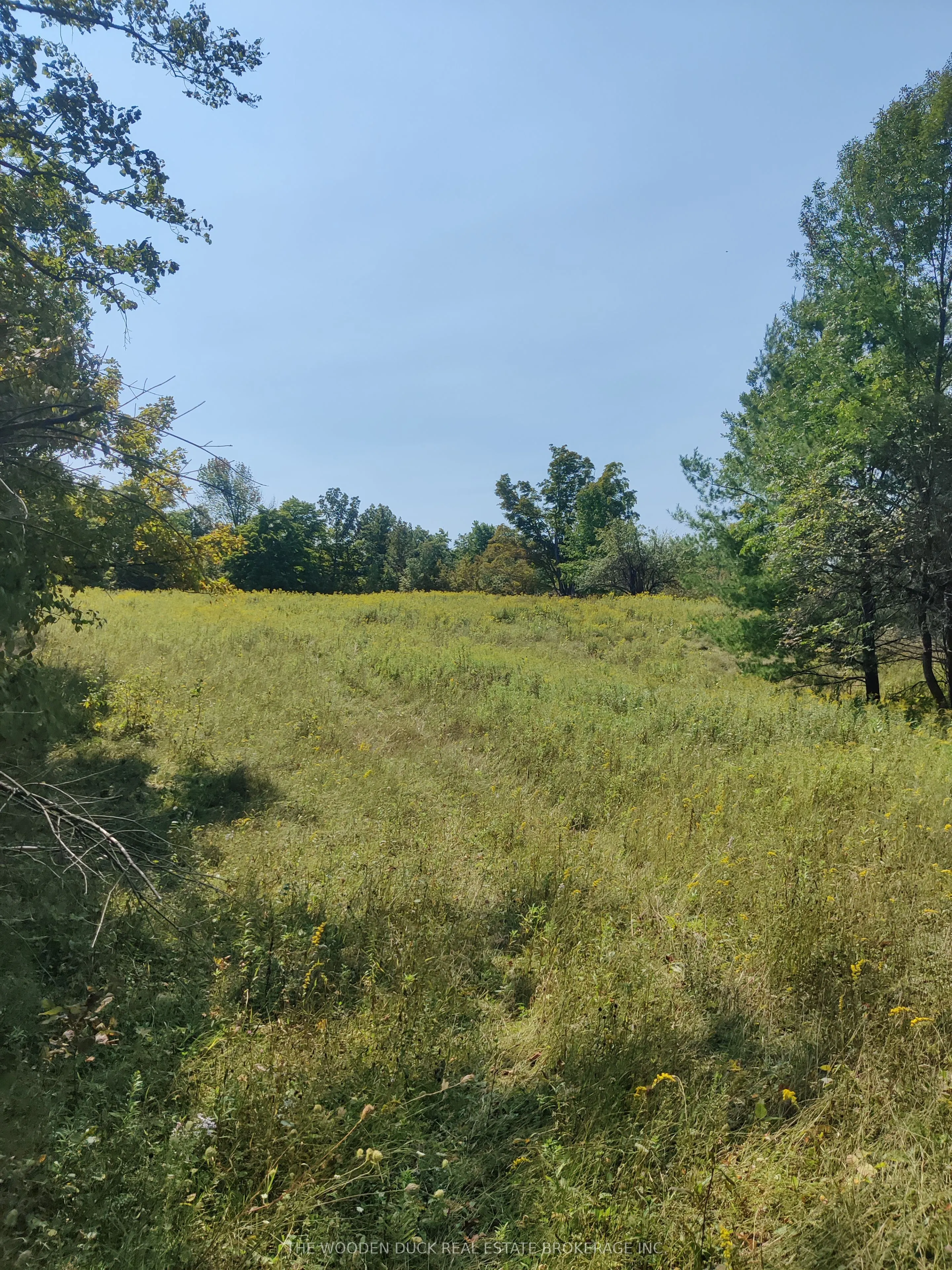 0West Road Allowance Road