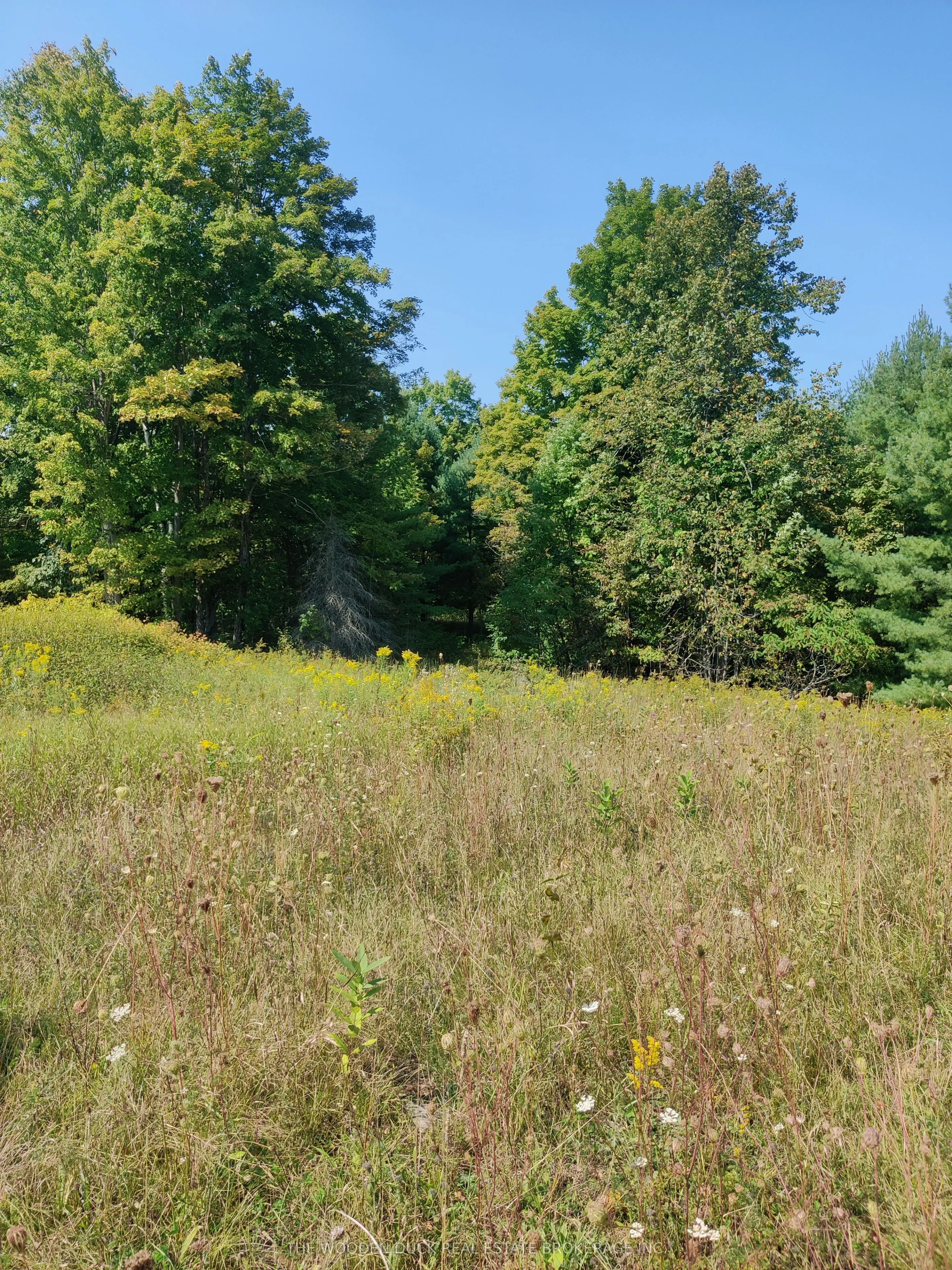 0West Road Allowance Road