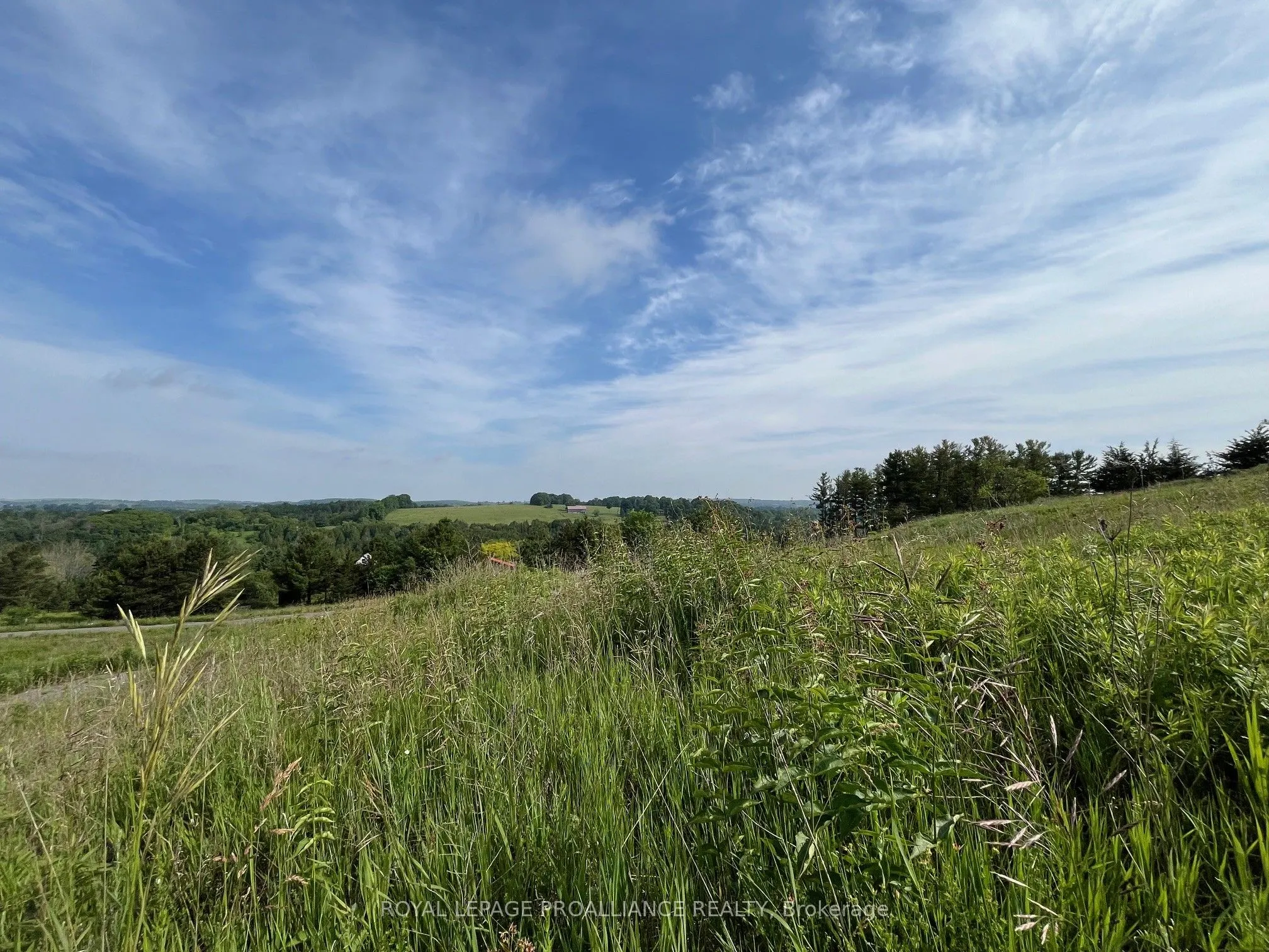 Lot 24 McCarty Drive