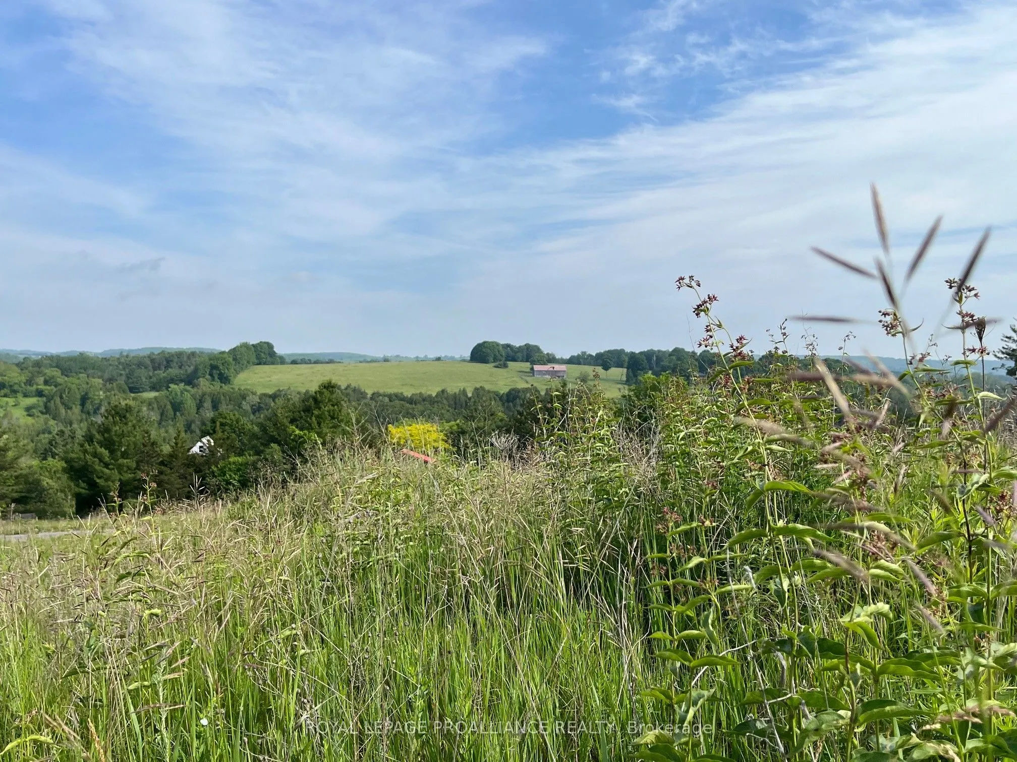 Lot 24 McCarty Drive