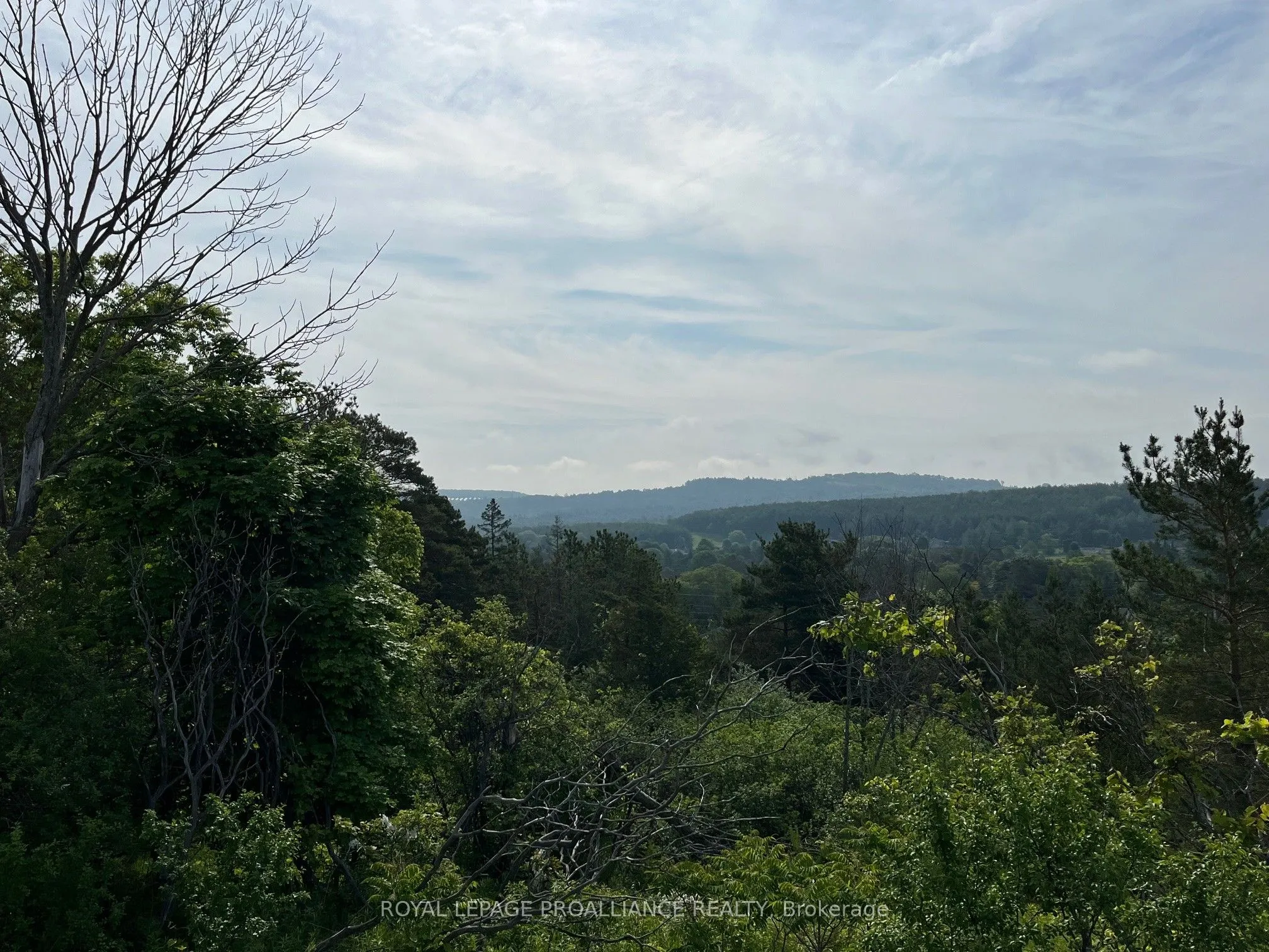 Lot 24 McCarty Drive