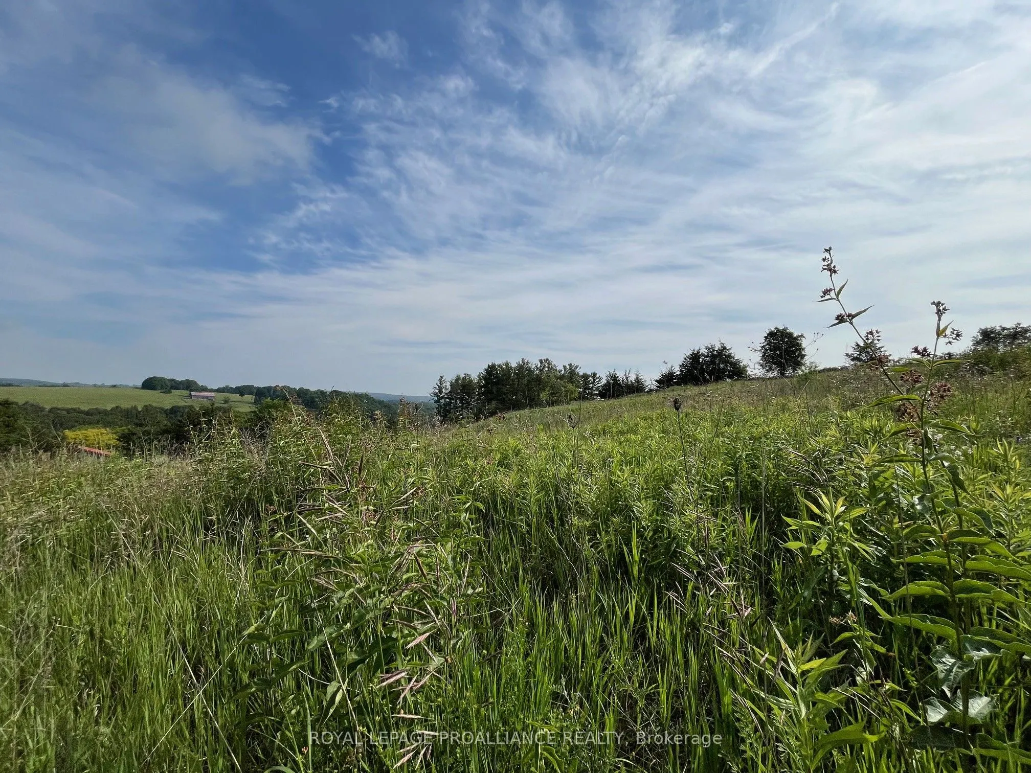 Lot 24 McCarty Drive