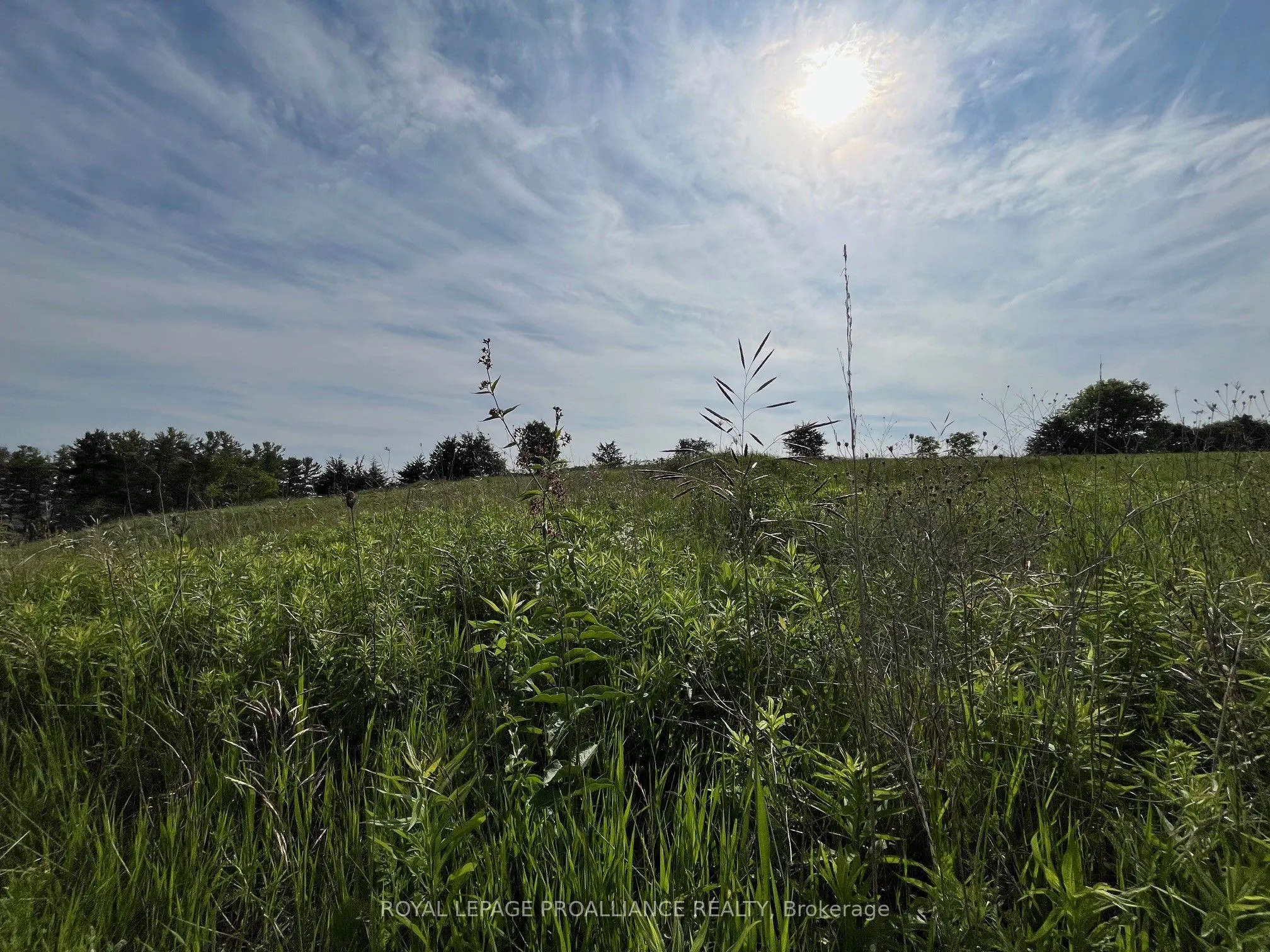 Lot 24 McCarty Drive