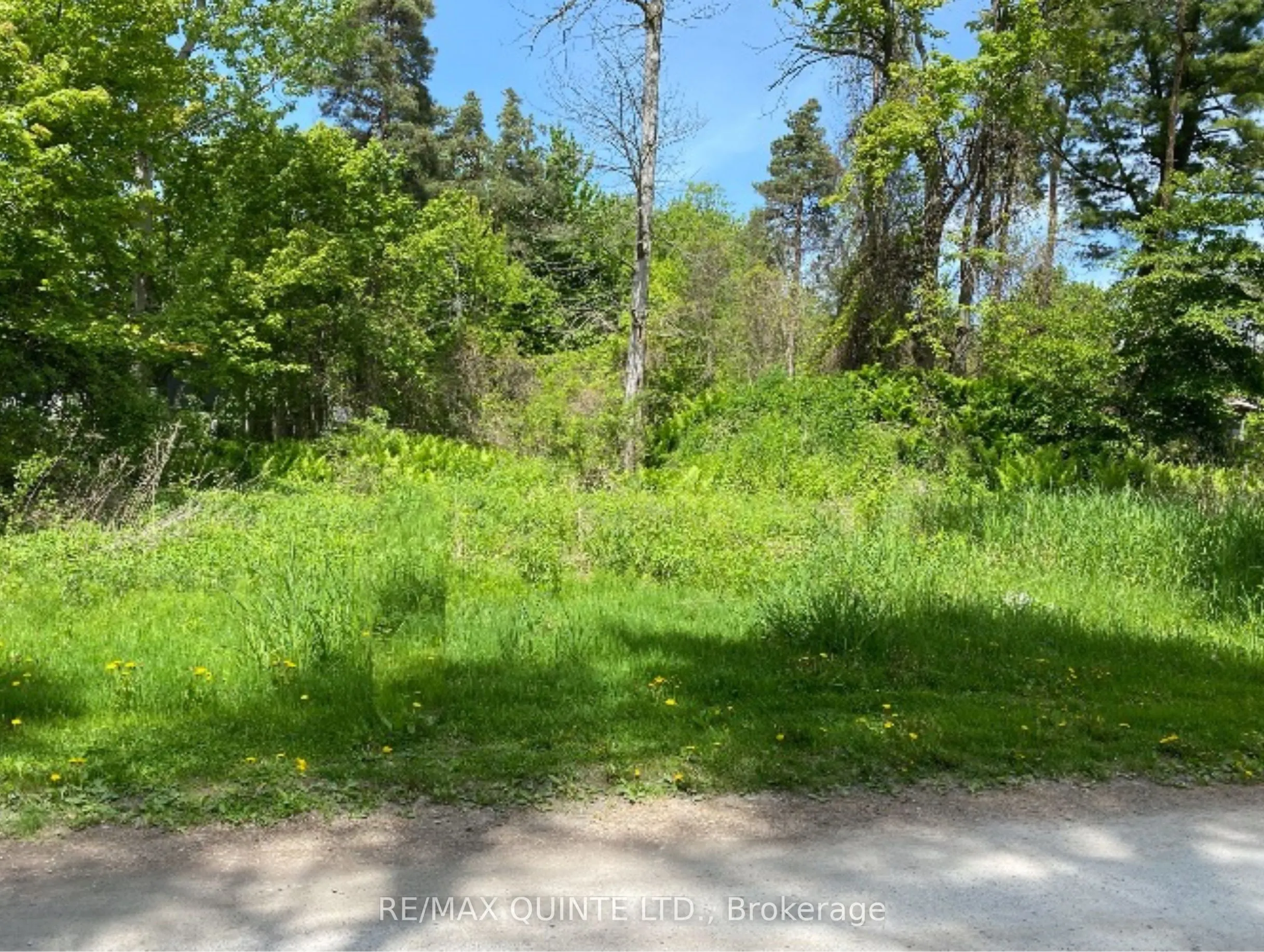 149 Evergreen Lane