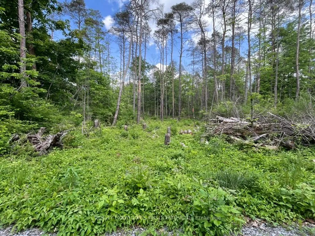 6192 County Rd 50