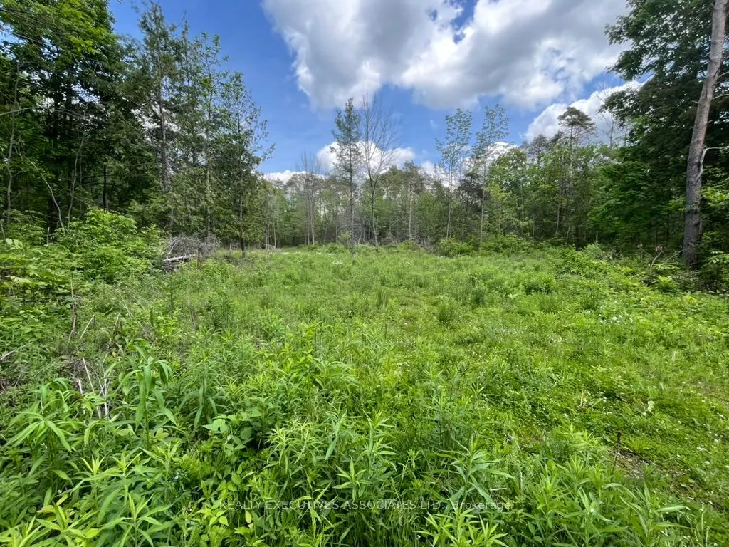 6192 County Rd 50