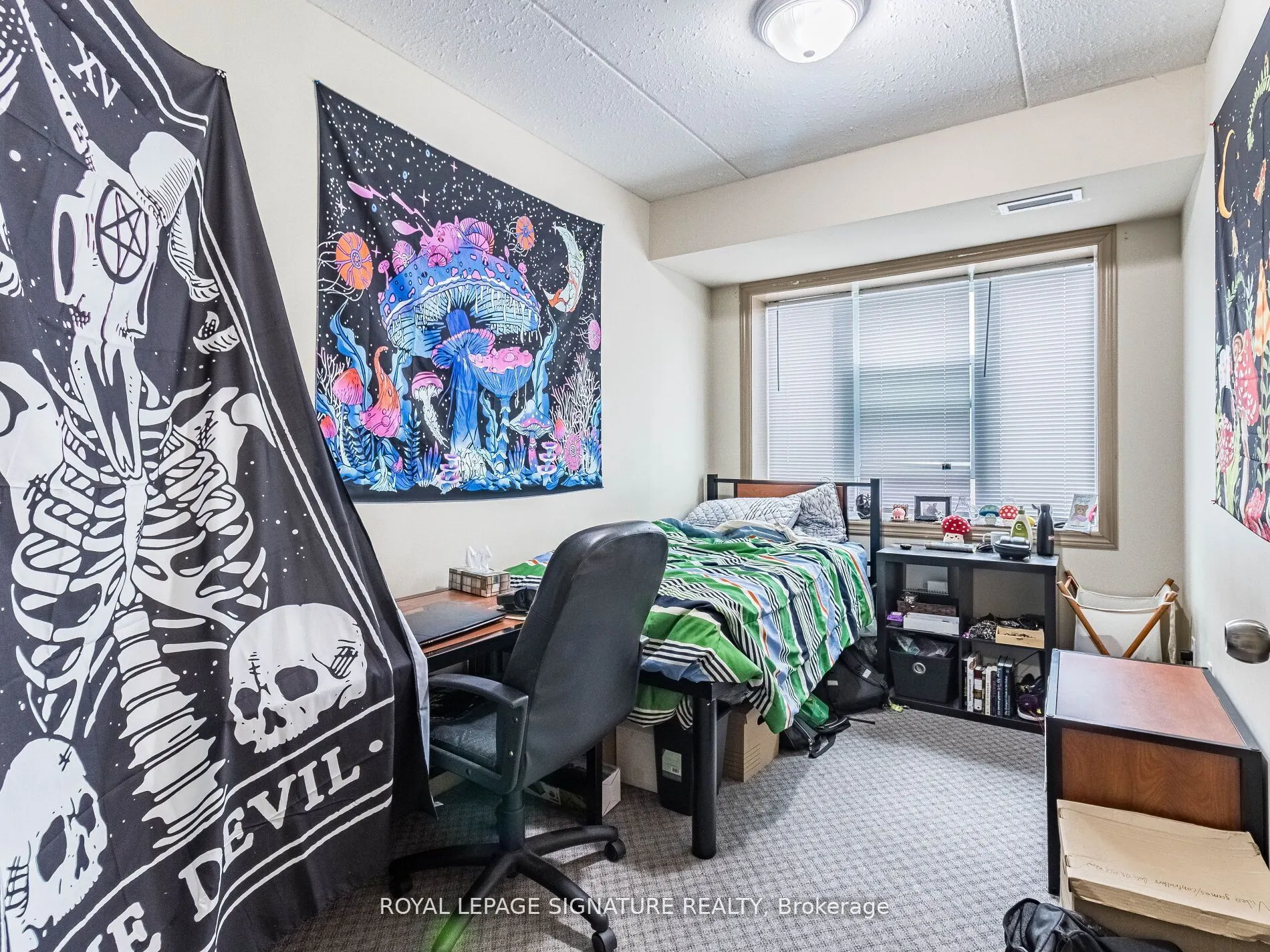 251 Lester Street #206