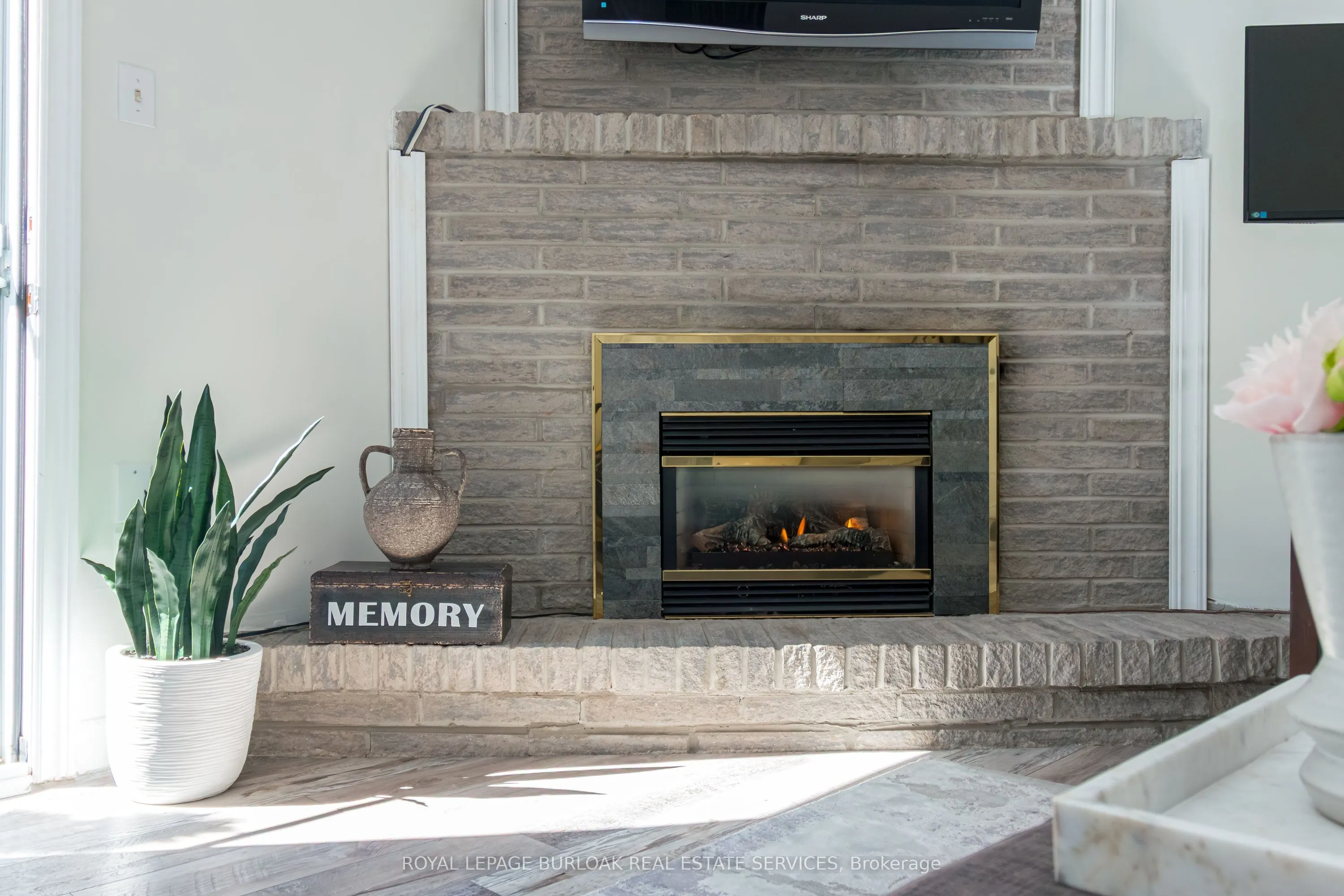 1155 Paramount Drive #22