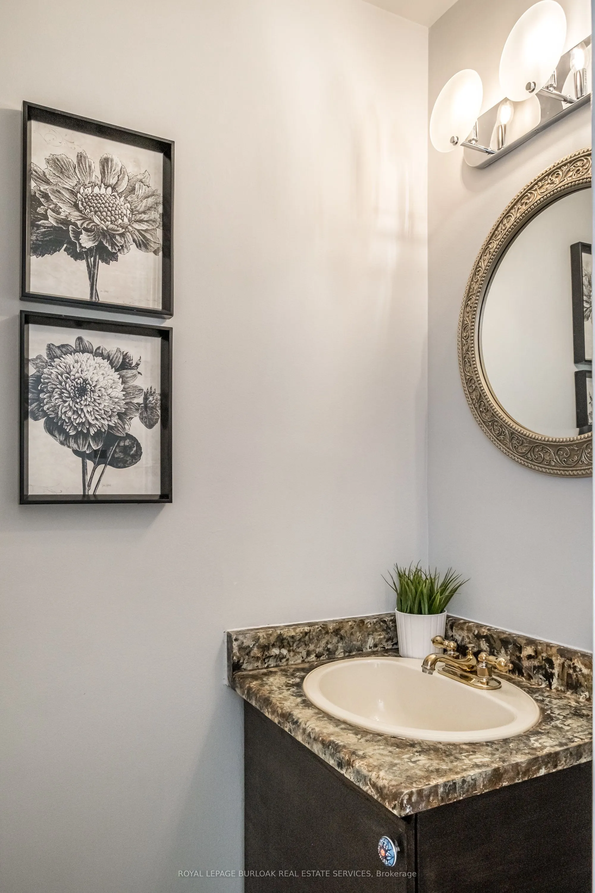 1155 Paramount Drive #22