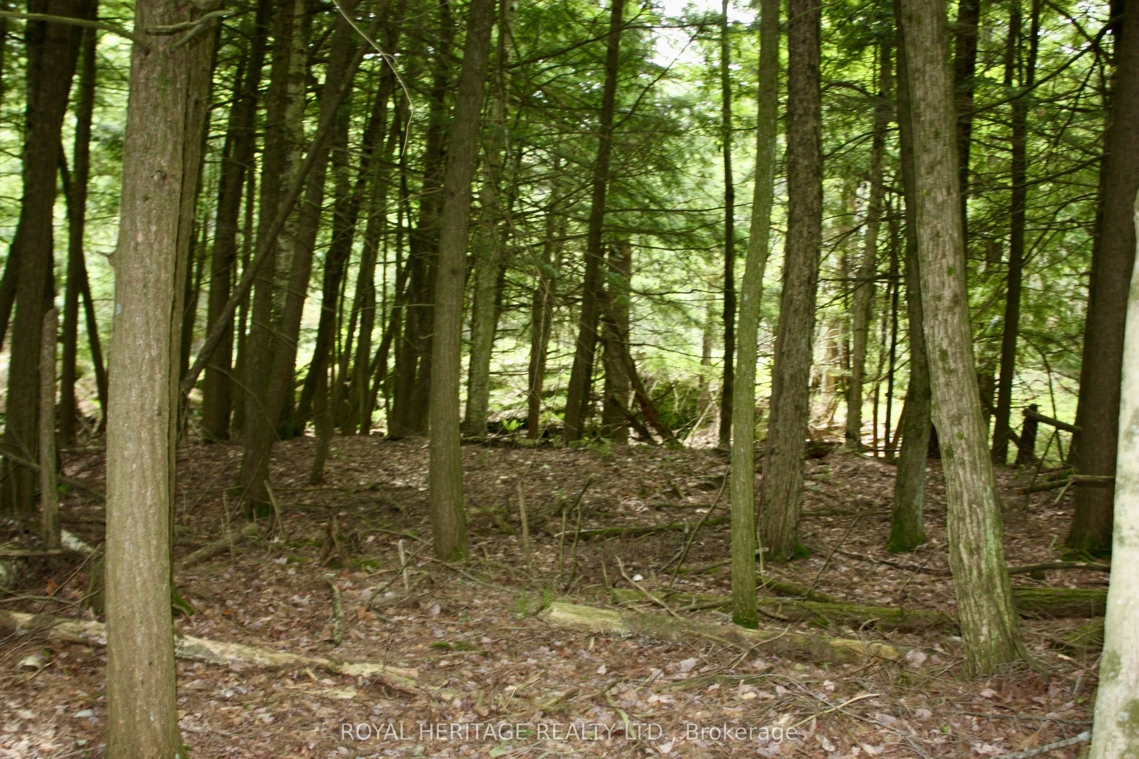 N/A-WAO Kasshabog Lake, #LOT 3