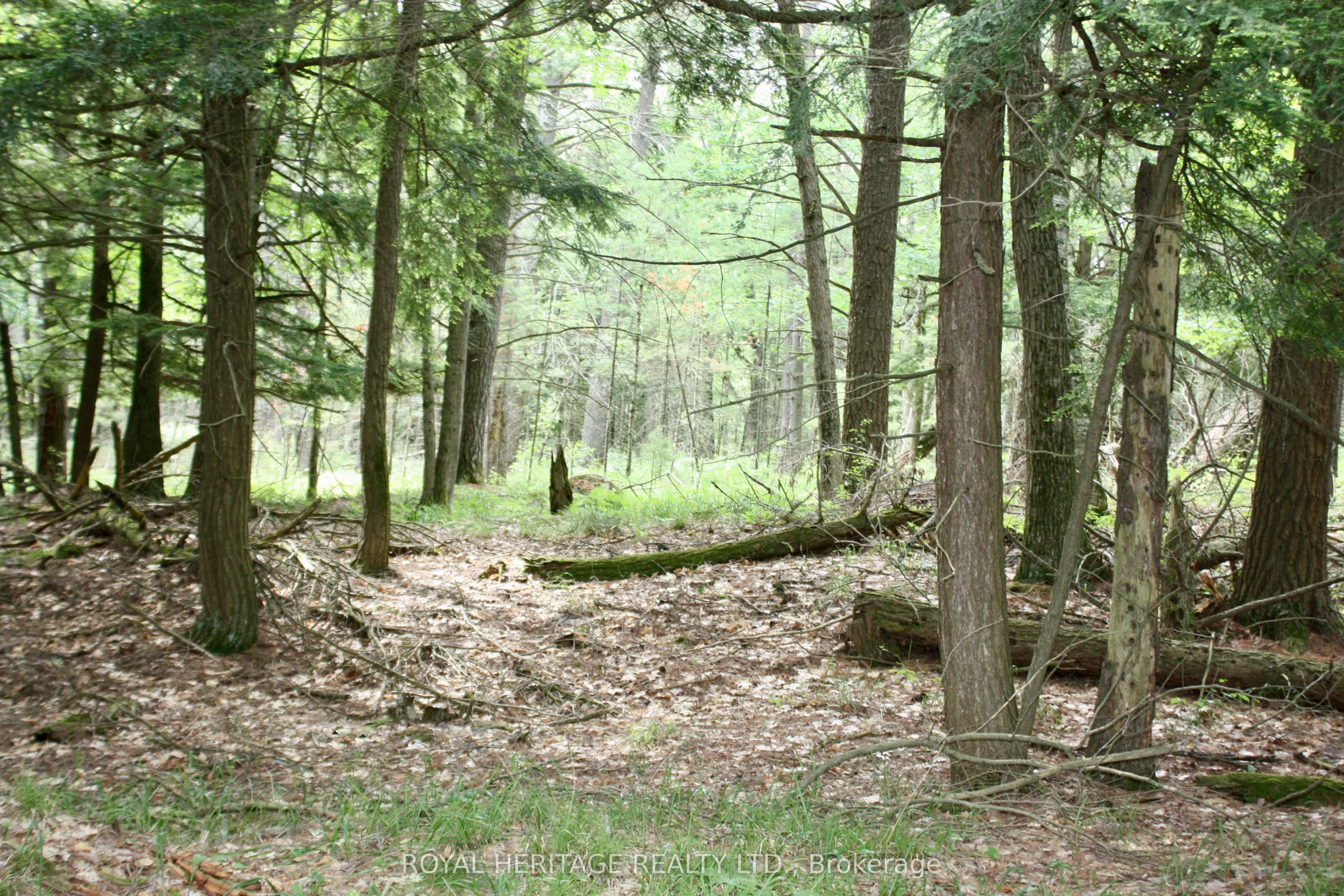 N/A-WAO Kasshabog Lake, #LOT 3