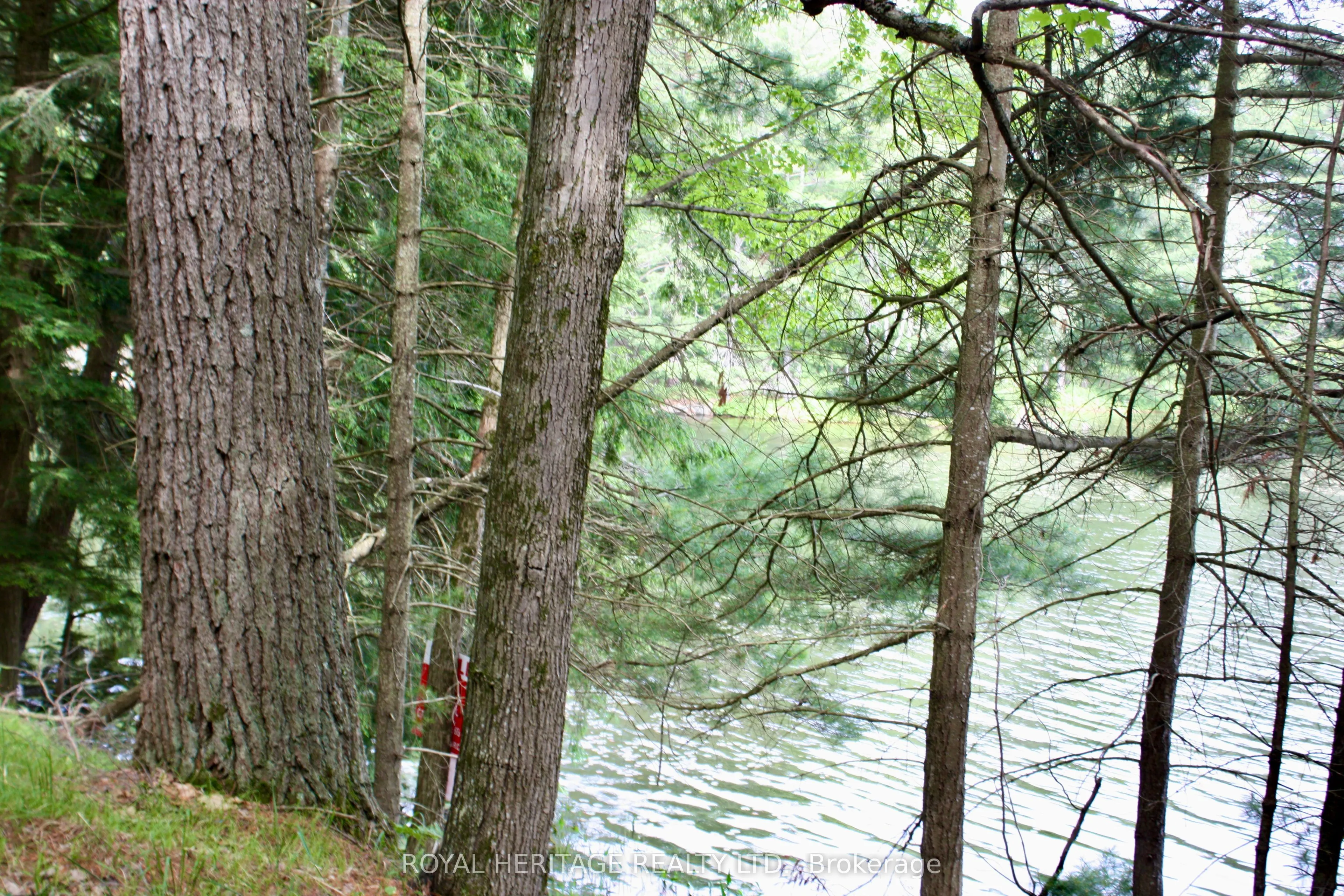 N/A-WAO Kasshabog Lake, #LOT 3