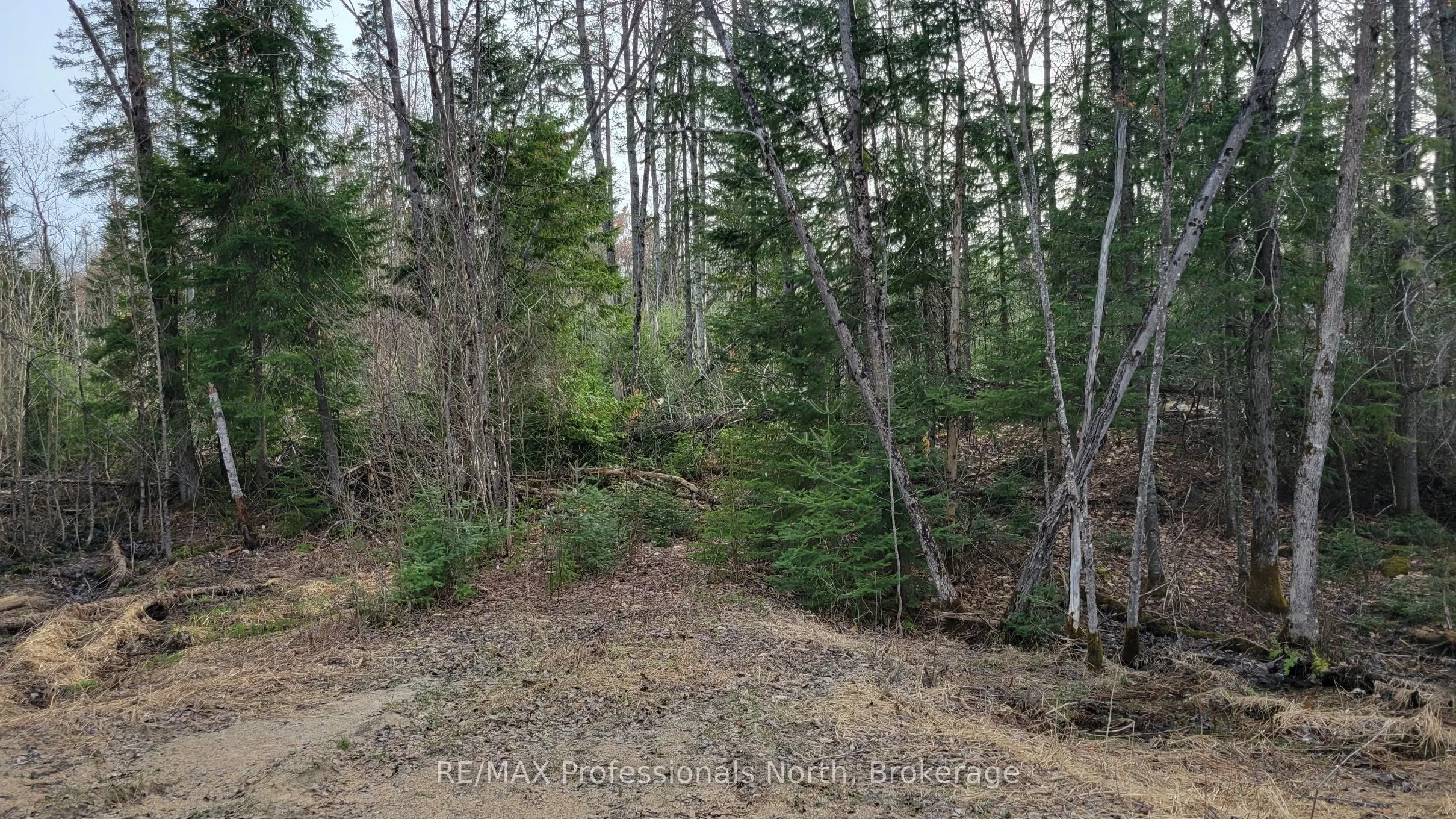 PCL 20438 & 29803 Upper Walker Lake Rd Road