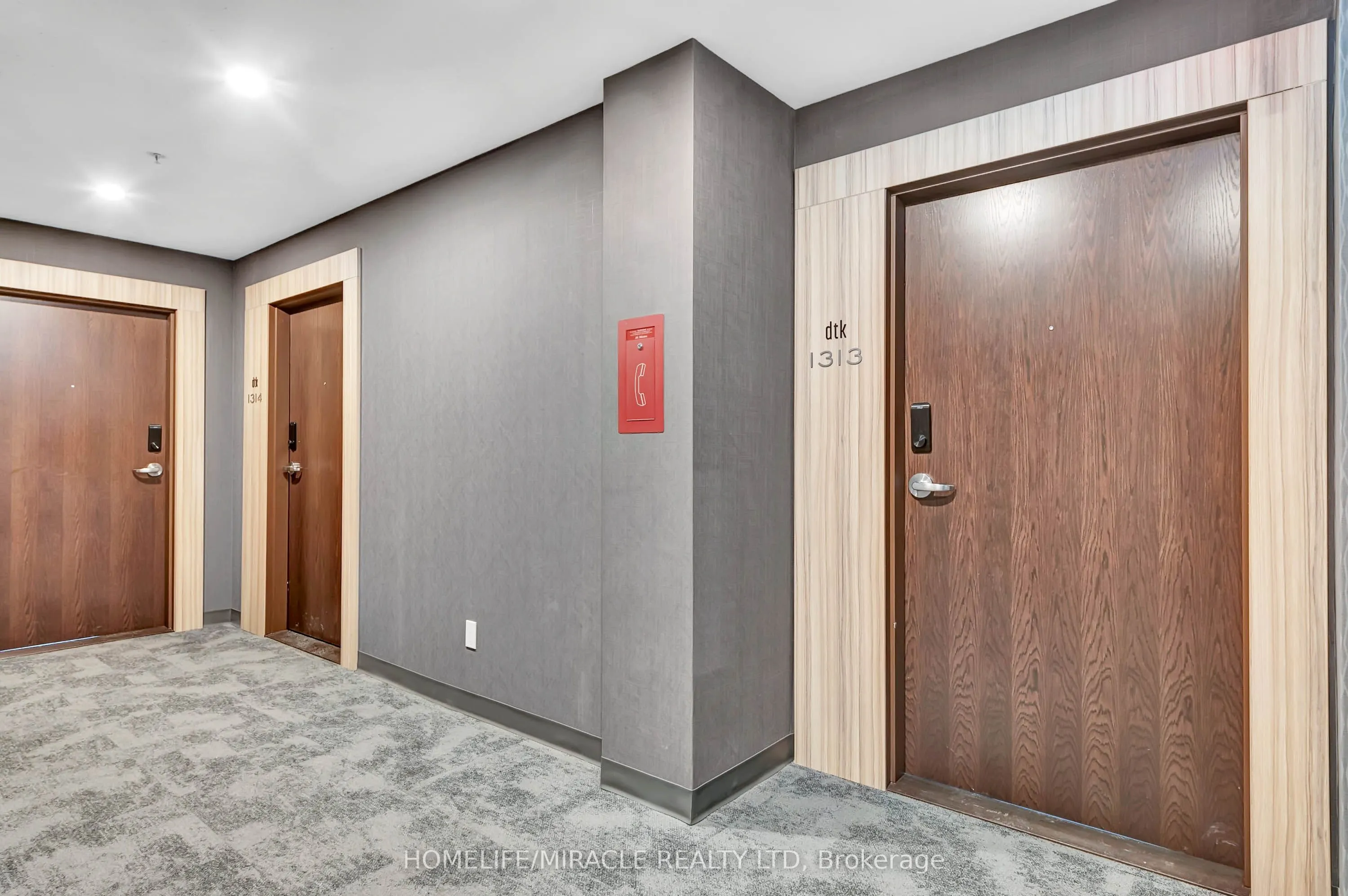 60 Frederick Street #1313