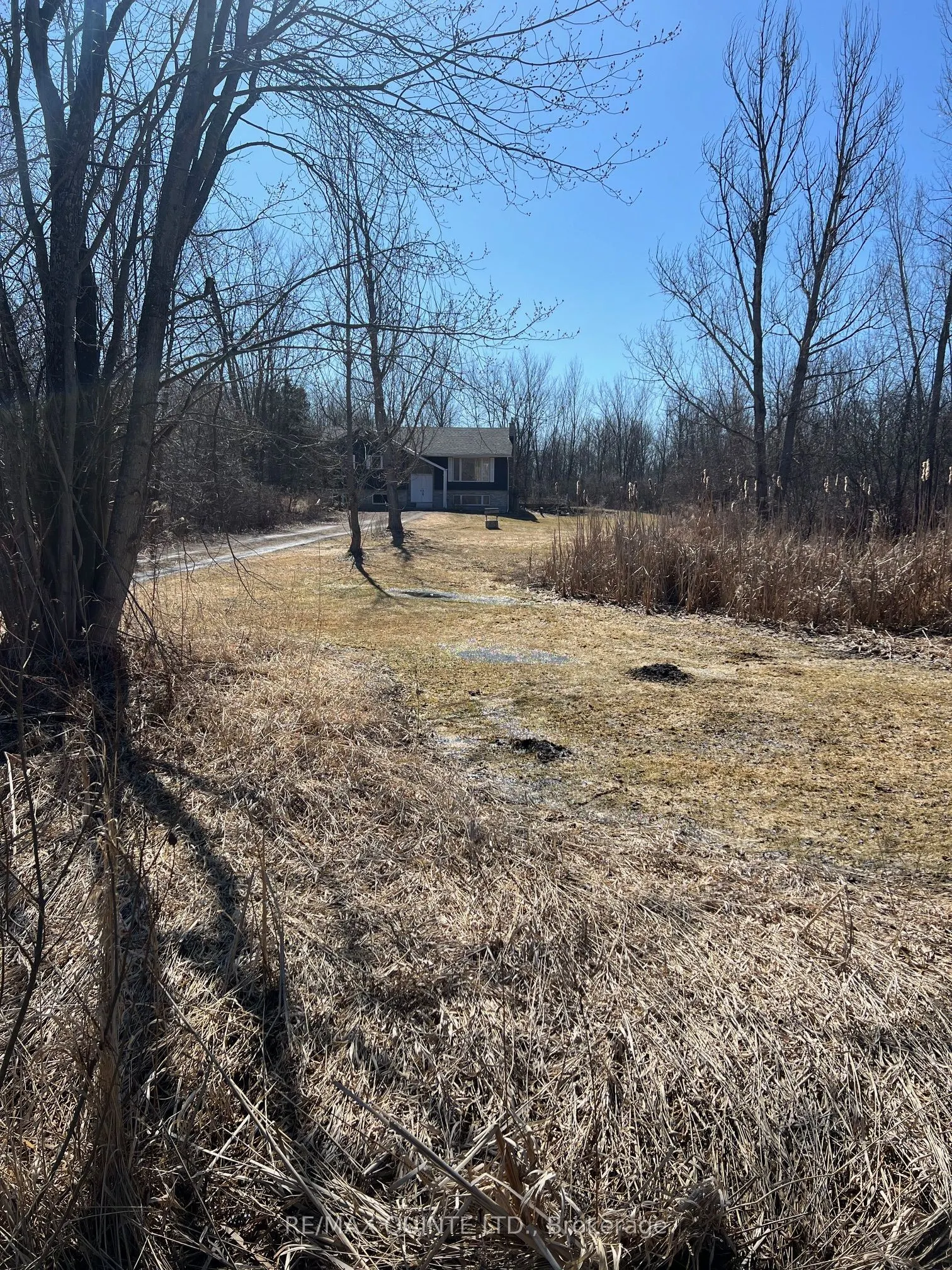 1168 Clearview Road