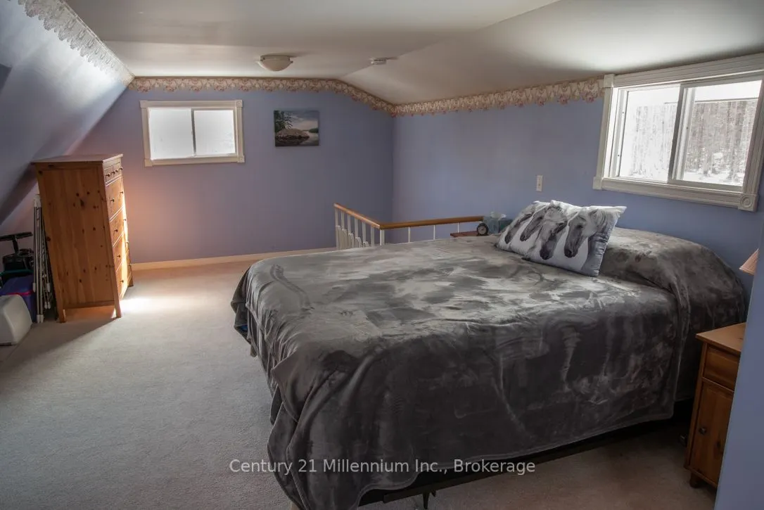 825173 Grey 40 Road