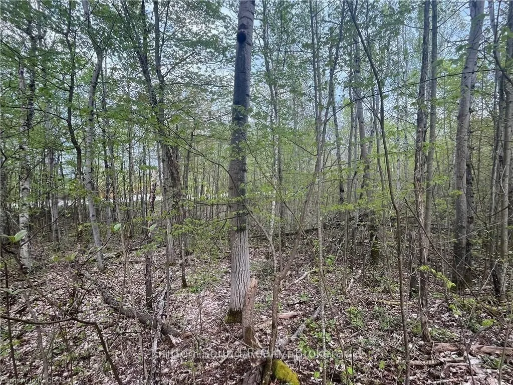 Lot 6 Grey Road 1