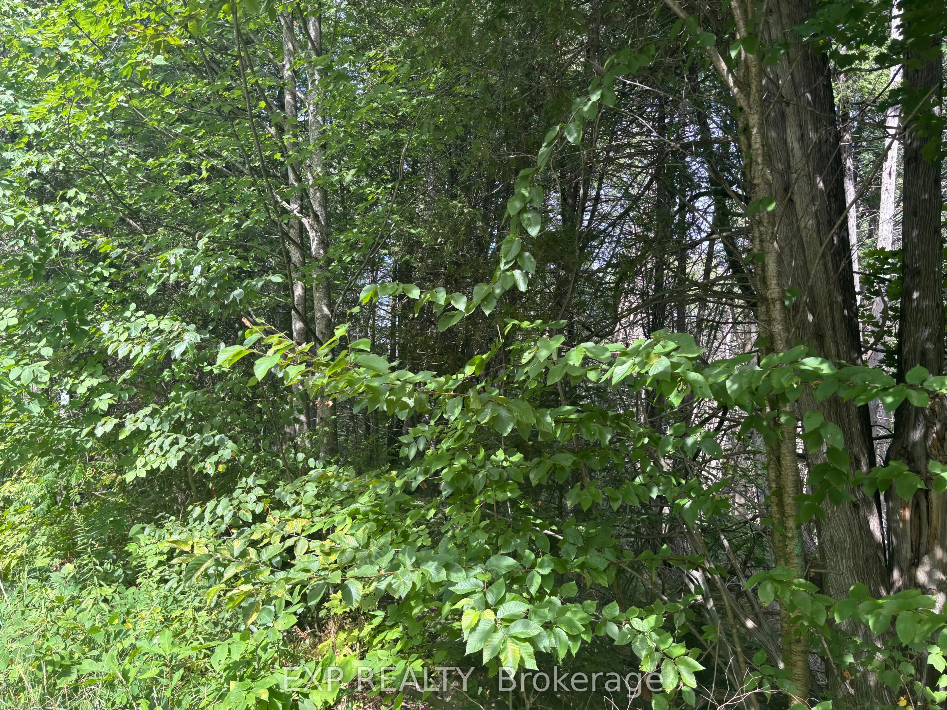 149-1 Arbor Vitae Road