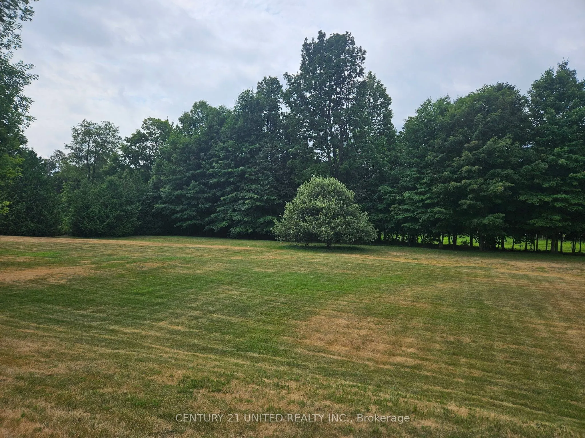 426 GULLY Road