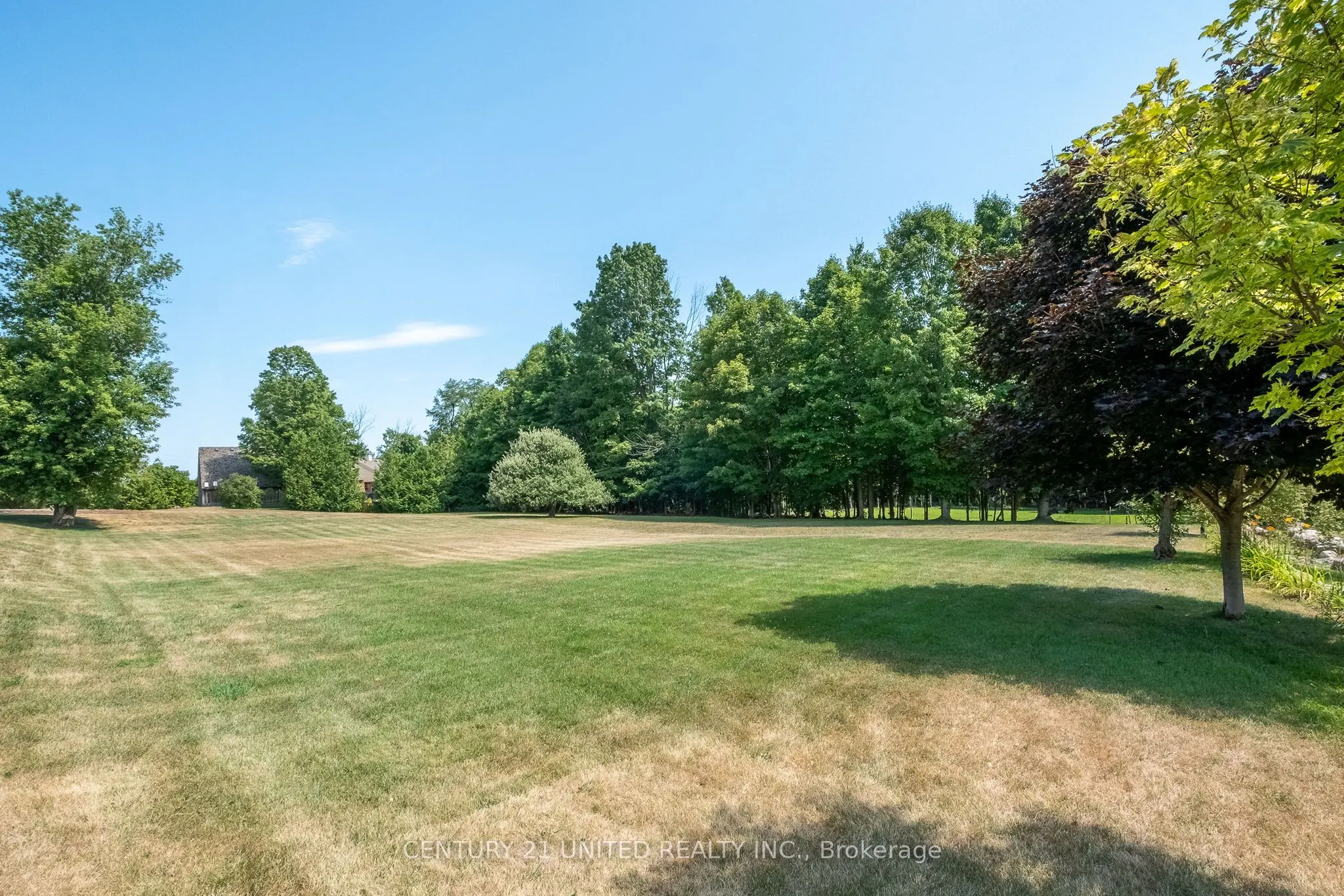 426 GULLY Road