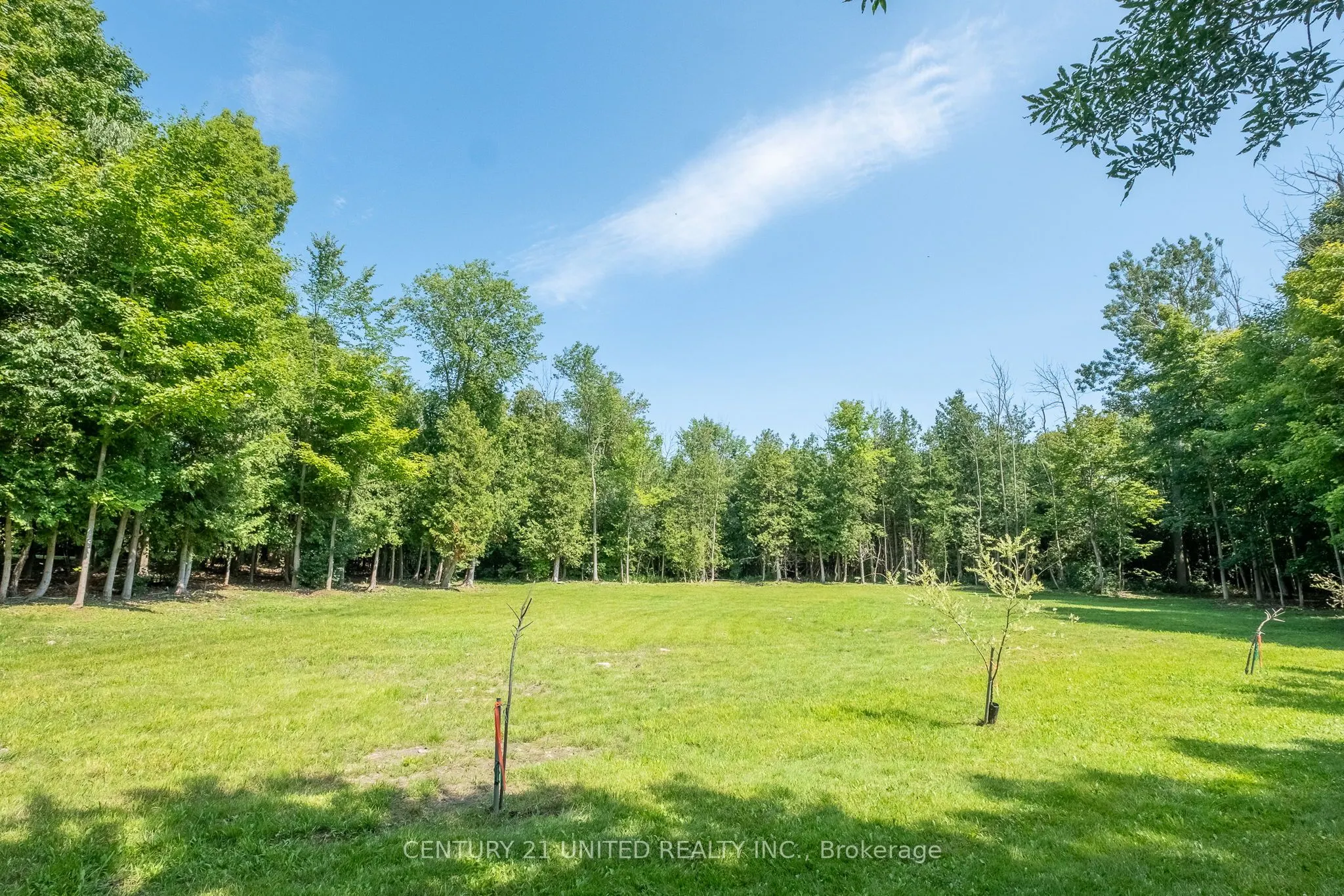 426 GULLY Road
