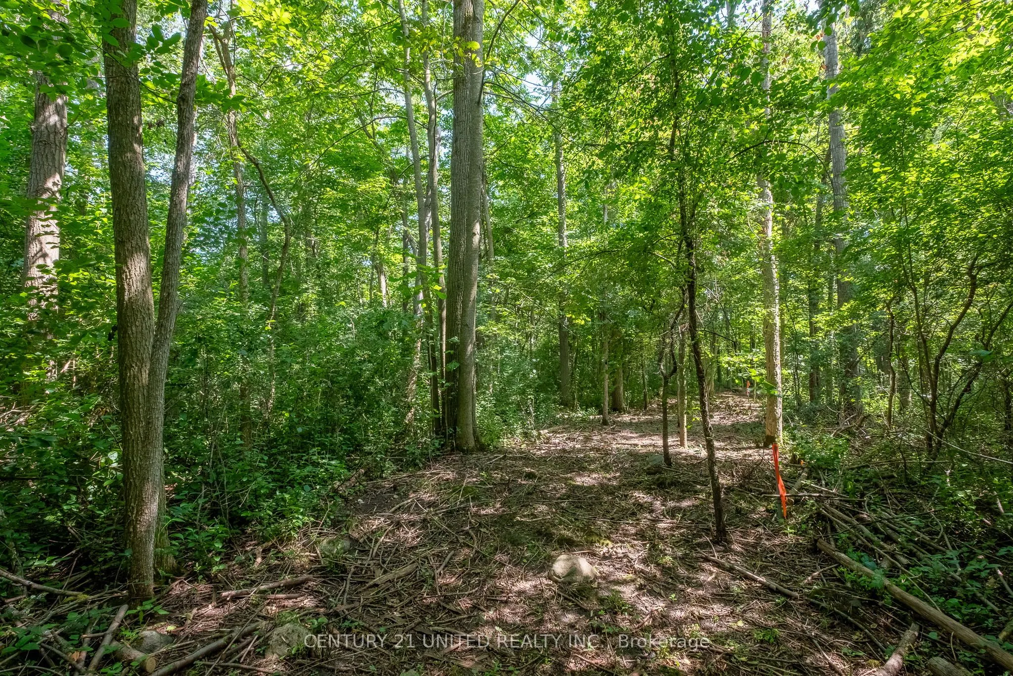 426 GULLY Road