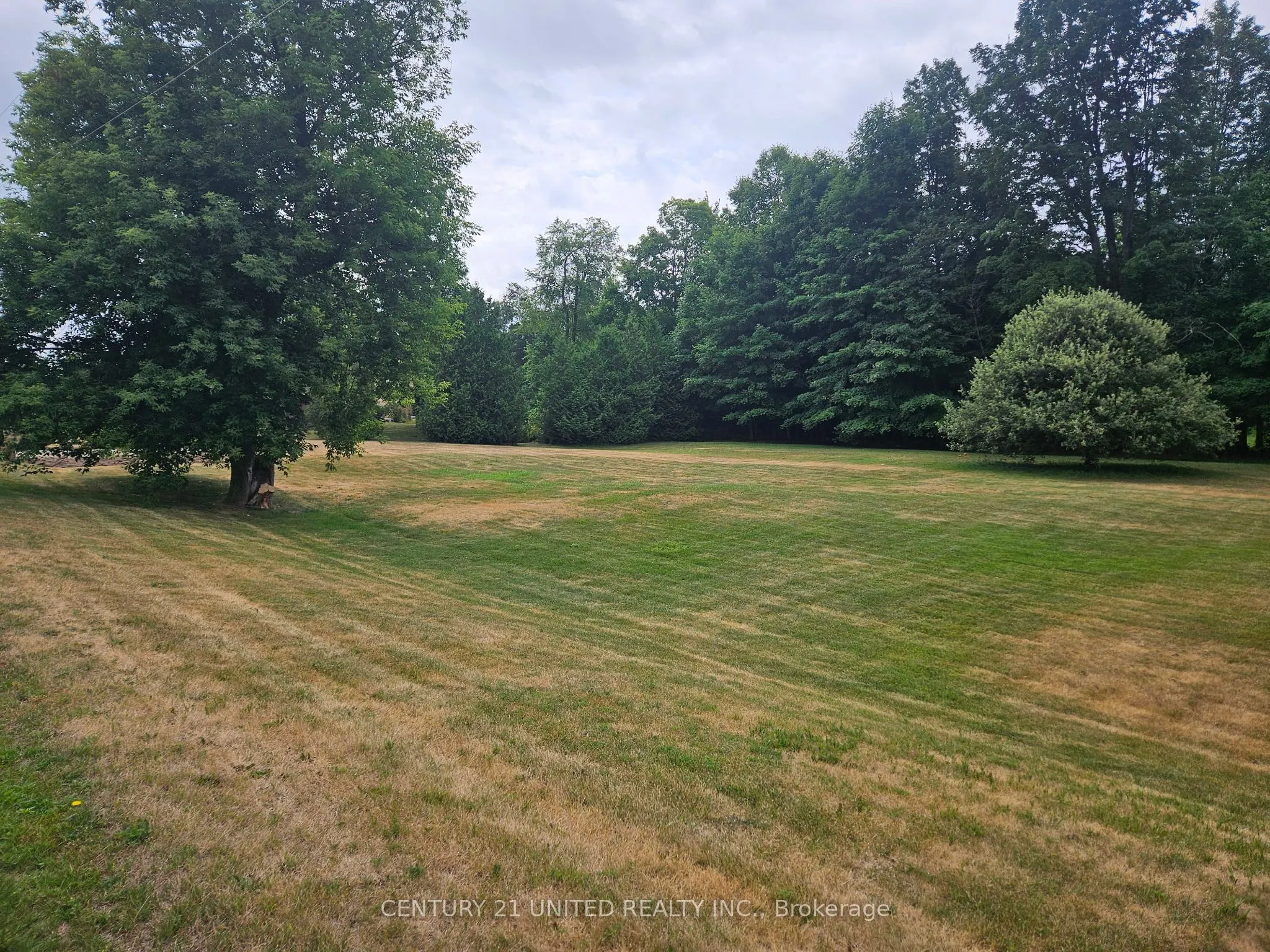 426 GULLY Road