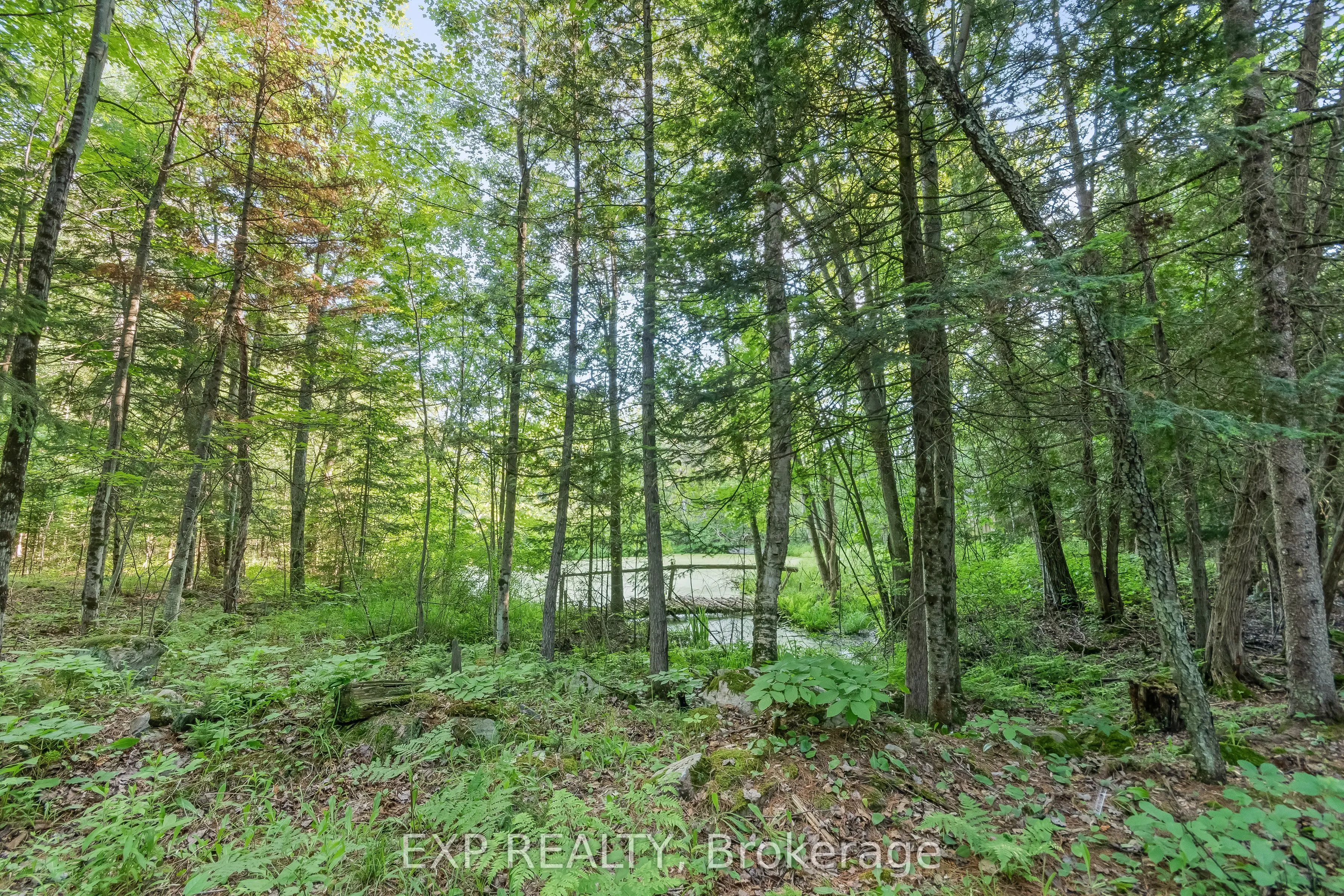 1585 County 46 Road
