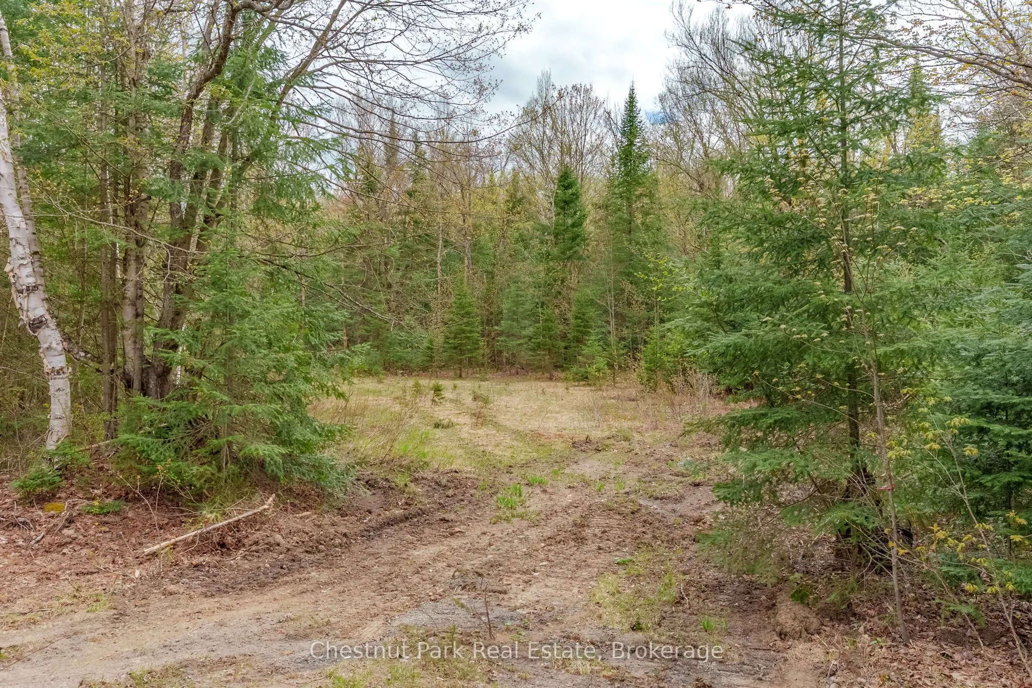 1397 Echo Ridge Road