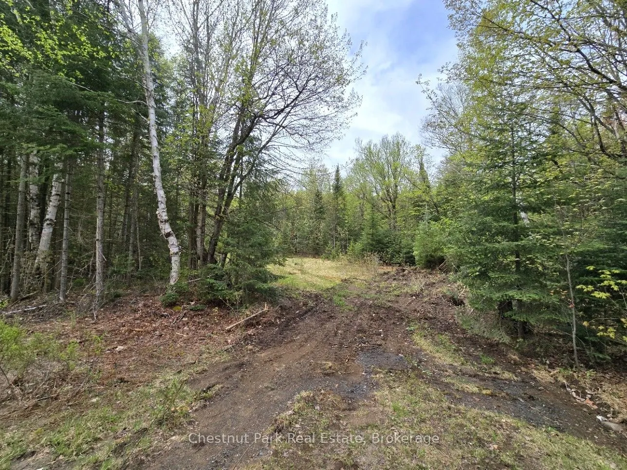 1397 Echo Ridge Road