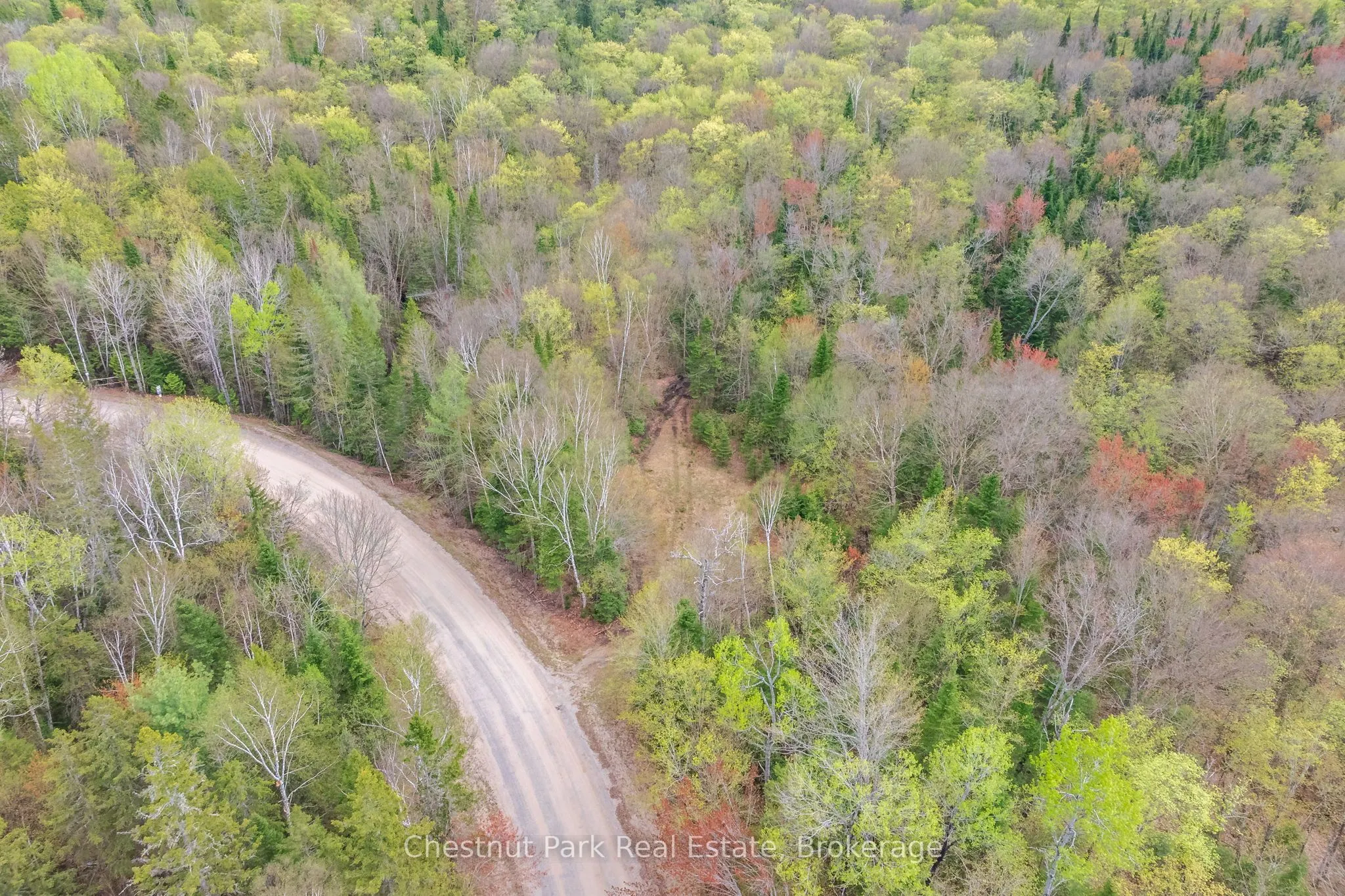 1397 Echo Ridge Road